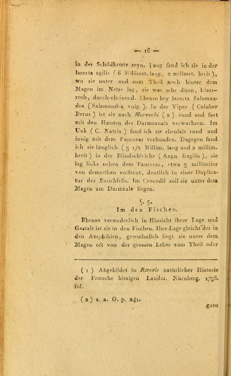 in der Schildkroete seyn. } ang fand ich sie in der lacerla agilis ^ 6 Millimet. lang, 2 millmet. breit), Wo sie unter und zum Theil nm h hinter dem Magen im Netze lag, sie war sehr dünn, Llass- roth, durrh'.chi’incnd. hbenso bey hceita Salaman- dra (Salamandiq vulg. ). In der Viper ( Coluber Eerus ) ist sie na<h Moreschi ( 2 ) rund und fast mit den Haeuten des Darmcanals veiwachsen. Ira Unk ( C. Natrix ) fand ich sic ebenfals rund und innig mit dem Pancreas verbunden. Dagegen fand ich sie länglich (31/2 TMillim. laug und 2 miliim. breit) in der Blindschleiche ( Angu. fragilis), sie lag links neben dem Pancreas, etwa 3 millinriter von demselben entfernt, deutlich in einer Düplica- tur des Bauchfells. Tm Crocodil soll sie uutcr dem Magen am Darmcale liegen. 5. 5. I m den Fischen. Ebenso yersenderlich in Hinsicht ihrer Tage und Gestalt ist sie in den Fischen. Ihre Lage gleicht der in den Amphibien, gewcehnlich liegt sie unter dem Magen oft von der grossen Leber zuiu Theil oder ( 1 ) Abgebildet in Rcesds natürlicher Historie der Frcesche hiesigen Landes. Nürnberg. 1758. fol. L /- ( 2 ) a. a. O. p. 24t ganz