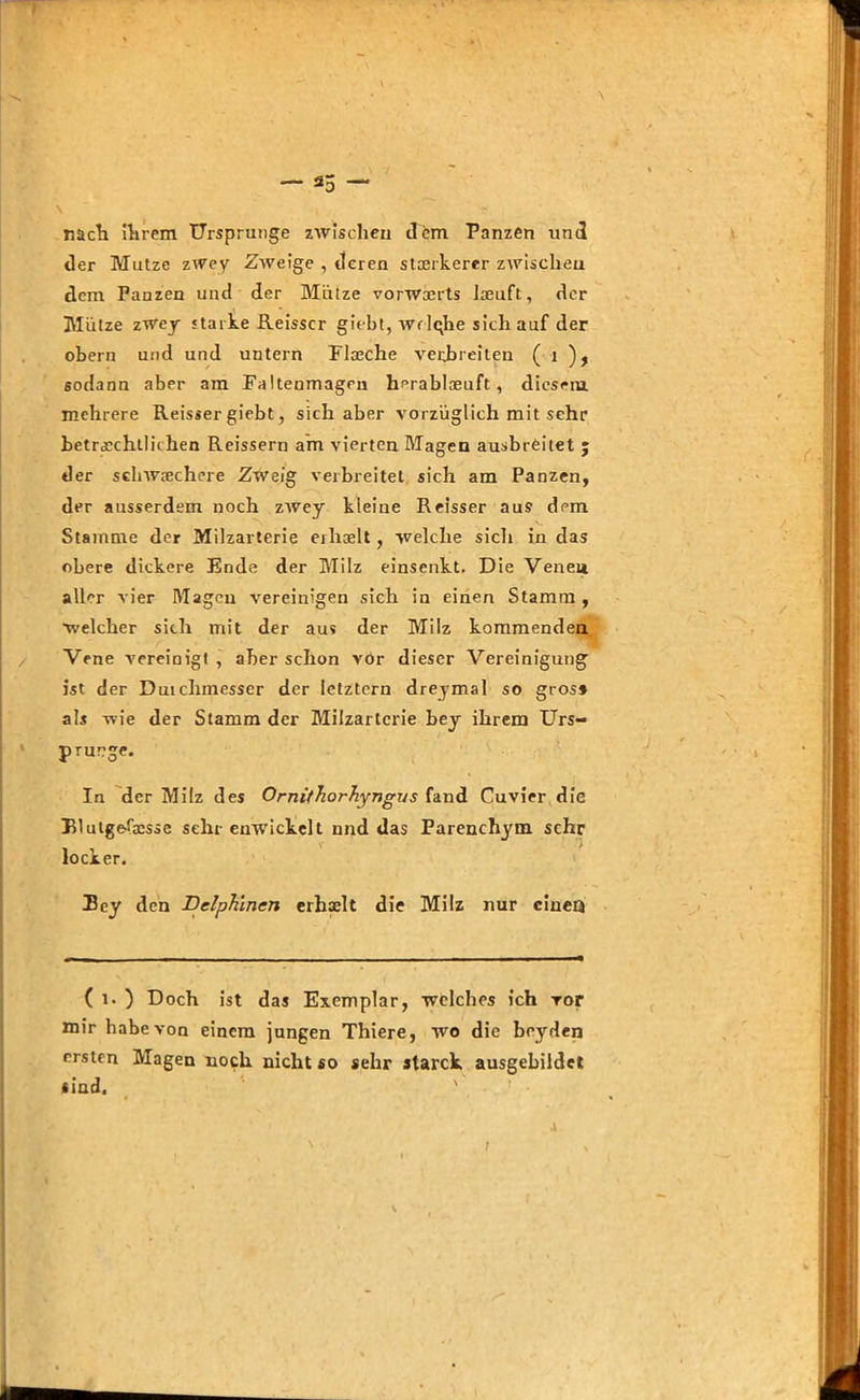 \ nach ihrem Ursprünge zwischen dem Panzen und der Mutze zwey Zweige , deren stärkerer zwischen dem Panzen und der Mütze vorwoerts laeuft, der Mütze zwey starke Reisscr giebt, wrlqhe sich auf der ober» und und untern Flaeche verbreiten ( i ), sodann aber am Faltenmagen Imrablaeuft, diesem mehrere Reisser giebt, sich aber vorzüglich mit sehr beträchtlichen Reissern am vierten Magen ausbreitet ; der schwächere Zweig verbreitet sich am Panzen, der ausserdem noch zAvey kleine Reisser aus dem Stamme der Milzarterie eiliselt , welche sich in das obere dickere Ende der Milz einsenkt. Die Venen aller vier Magen vereinigen sich in einen Stamm , welcher sich mit der aus der Milz kommenden Vene vereinigt , aber schon vor dieser Vereinigung ist der Duichmesser der letztem dreymal so gros* als wie der Stamm der Milzarterie bey ihrem Urs- prünge. In der Milz des Ornithorhyngus fand Cuvier die Blutgelaesse sehr enwickclt nnd das Parenchym sehr locker. Bey den Delphinen erhxlt die Milz nur einen ( i. ) Doch ist das Exemplar, welches ich vor mir habe von einem jungen Thiere, wo die beyden ersten Magen noch nicht so sehr starck ausgebildet sind. '