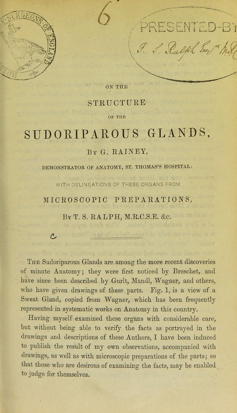 ON THE STKUCTURE OF THE SUDOKIPAROUS GLANDS, By G. RAINEY, DEMONSTRATOR OF ANATOMY, ST. THOMAS’S HOSPITAL: WITH DELINEATIONS OF THESE ORGANS FROM MICROSCOPIC PREPARATIONS, By T. S. RALPH, M.R.C.S.E. &c. ^ == The Sudoriparous Glands are among the more recent discoveries of minute Anatomy; they were first noticed by Breschet, and have since been described by Gurlt, Mandl, Wagner, and others, v/bo have given drawings of these parts. Eig. 1, is a view of a Sweat Gland, copied from Wagner, which has been frequently represented in systematic works on Anatomy in this country. Having myself examined these organs with considerable care, hut without being able to verify the facts as portrayed in the drawings and descriptions of these Authors, I have been induced to publish the result of my own observations, accompanied with drawings, as well as with microscopic preparations of the parts; so that those who are desirous of examining the facts, may be enabled to judge for themselves.