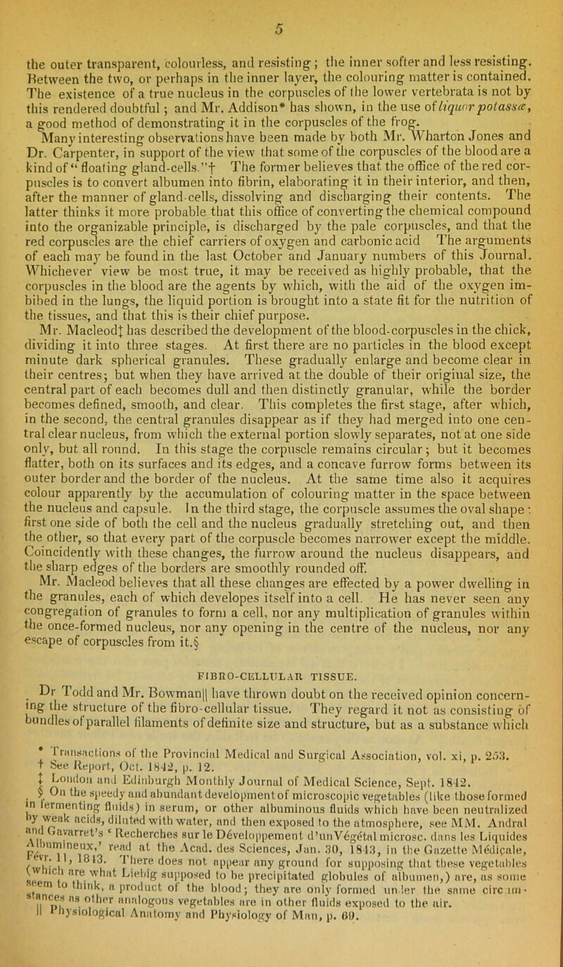 the outer transparent, colourless, and resisting; tiie inner softer and less resisting. Between the two, or perhaps in the inner layer, the colouring matter is contained. The existence of a true nucleus in the corpuscles of the lower vertebrata is not by this rendered doubtful; and Mr. Addison* has shown, in the use oiliquor potassce, a good method of demonstrating it in the corpuscles of the frog. Man}'interesting observations have been made by both Mr. Wharton Jones and Dr. Carpenter, in support of the view that some of the corpuscles of the blood are a kind of “ floating gland-cells.”f The former believes that the office of the red cor- puscles is to convert albumen into fibrin, elaborating it in their interior, and then, after the manner of gland-cells, dissolving and discharging their contents. The latter thinks it more probable that this office of converting the chemical compound into the organizable principle, is discharged by the pale corpuscles, and that the red corpuscles are the chief carriers of oxygen and carbonic acid The arguments of each may be found in the last October and January numbers of this Journal. Whichever view be most true, it may be received as highly probable, that the corpuscles in the blood are the agents by which, with the aid of the oxygen im- bibed in the lungs, the liquid portion is brought into a state fit for the nutrition of the tissues, and that this is their chief purpose. Mr. MacleodJ has described the development of the blood-corpuscles in the chick, dividing it into three stages. At first there are no particles in the blood except minute dark spherical granules. These gradually enlarge and become clear in their centres; but when they have arrived at the double of their original size, the. central part of each becomes dull and then distinctly granular, while the border becomes defined, smooth, and clear. This completes the first stage, after which, in the second, the central granules disappear as if they had merged into one cen- tral clear nucleus, from which the external portion slowly separates, not at one side only, but all round. In this stage the corpuscle remains circular; but it becomes flatter, both on its surfaces and its edges, and a concave furrow forms between its outer border and the border of the nucleus. At the same time also it acquires colour apparently by the accumulation of colouring matter in the space between the nucleus and capsule. In the third stage, the corpuscle assumes the oval shape: first one side of both the cell and the nucleus gradually stretching out, and then the other, so that every part of the corpuscle becomes narrower except the middle. Coincidently with these changes, the furrow around the nucleus disappears, and the sharp edges of the borders are smoothly rounded off. Mr. Macleod believes that all these changes are effected by a power dwelling in the granules, each of which developes itself into a cell. He has never seen any congregation of granules to form a cell, nor any multiplication of granules within the once-formed nucleus, nor any opening in the centre of the nucleus, nor any escape of corpuscles from it.§ FIBRO-CELLULAR TISSUE. . Todd and Mr. Bowman|| have thrown doubt on the received opinion concern- ing the structure of the fibro-cellular tissue. They regard it. not as consisting of bundles of parallel filaments of definite size and structure, but as a substance which * transactions ol the Provincial Medical and Surgical Association, vol. xi, p. 253. + See Report., Oct. 1842, p. 12. | London and Edinburgh Monthly Journal of Medical Science, Sept. 1812. $ On the speedy and abundant development of microscopic vegetables (like those formed in lermenting fluids) in serum, or other albuminous fluids which have been neutralized y weak acids, diluted with water, and then exposed to the atmosphere, see MM. Andrei am layarret’s ‘ Recherches sur le D6veloppemenl d’un Vegetal microsc. dans les Liquides piirumineux,’ read at the Acad, des Sciences, Jan. 30, 1843, in the Gazette Medipale, ,'v,r: ! ’ *813. 1 here does not appear any ground for supposing that these vegetables 1,, C/ a.r,e. , at Liebig supposed lo be precipitated globules of albumen,) are, as some ’ 0 1 *1111k, a product ol the blood; they are only formed under the same circ mi- nces as other analogous vegetables are in other fluids exposed to the air. II * bjsiological Anatomy and Physiology of Man, p. 69.