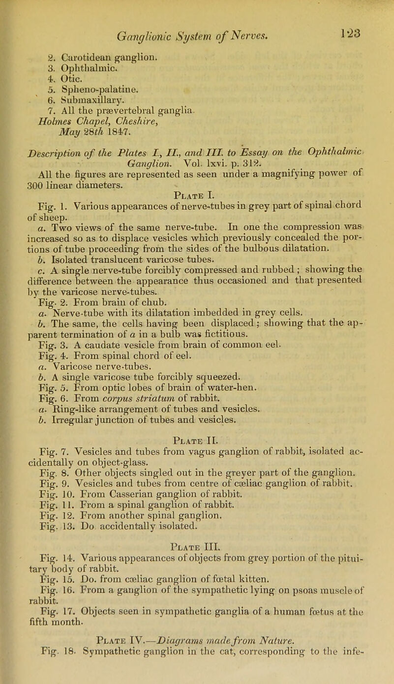 1-23 2. Carotidean ganglion. 3. Ophthalmic. 4. Otic. 5. Spheno-palatine. 6. Submaxillary. 7. All the praevertebral ganglia. Holmes Chapel, Cheshire, May 28th 1847. Description of the Plates I, II., and III. to Essay on the Ophthalmic Ganglion. Vol. lxvi. p. 312. All the figures are represented as seen under a magnifying power of 300 linear diameters. Plate I. Fig. 1. Various appearances of nerve-tubes in grey part of spinal chord of sheep. a. Two views of the same nerve-tube. In one the compression was increased so as to displace vesicles which previously concealed the por- tions of tube proceeding from the sides of the bulbous dilatation. b. Isolated translucent varicose tubes. c. A single nerve-tube forcibly compressed and rubbed ; showing the difference between the appearance thus occasioned and that presented by the varicose nerve-tubes. Fig- 2. From brain of chub. a. Nerve-tube with its dilatation imbedded in grey cells. b. The same, the cells having been displaced ; showing that the ap- parent termination of a in a buib was fictitious. Fig. 3. A caudate vesicle from brain of common eel. Fig. 4. From spinal chord of eel. a. Varicose nerve-tubes. b. A single varicose tube forcibly squeezed. Fig. 5. From optic lobes of brain of water-hen. Fig. 6. From corpus striatum of rabbit. a- Ring-like arrangement of tubes and vesicles. b. Irregular junction of tubes and vesicles. Plate II. Fig. 7. Vesicles and tubes from vagus ganglion of rabbit, isolated ac- cidentally on object-glass. Fig. 8. Other objects singled out in the greyer part of the ganglion. Fig. 9. Vesicles and tubes from centre of csjeliac ganglion of rabbit. Fig. 10. From Casserian ganglion of rabbit. Fig. 11. From a spinal ganglion of rabbit. Fig. 12. From another spinal ganglion. Fig. 13. Do accidentally isolated. Plate III. Fig. 14. Various appearances of objects from grey portion of the pitui- tary body of rabbit. Fig. 15. Do. from coeliac ganglion of foetal kitten. Fig. 16. From a ganglion of the sympathetic lying on psoas muscle of rabbit. Fig. 17. Objects seen in sympathetic ganglia of a human foetus at the fifth month. Plate IV—Diagrams made from Nature. Fig. 18. Sympathetic ganglion in the cat, corresponding to the infe-