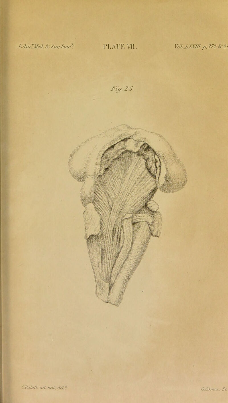 EdmOted. Sc Sun Jour z PL ATE W . Vol.lXVm />,772 8c 2l Fit/. 25. CRJfaZL cuL riot: del ? Gjlihnarv Sc.