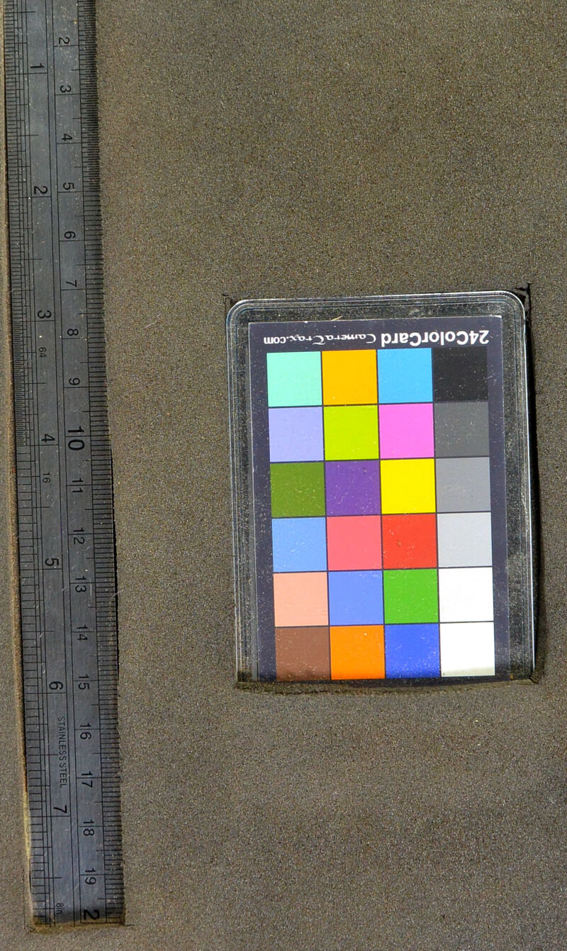 ïïifv'-’ï 'iii h..4 v*Vm y,