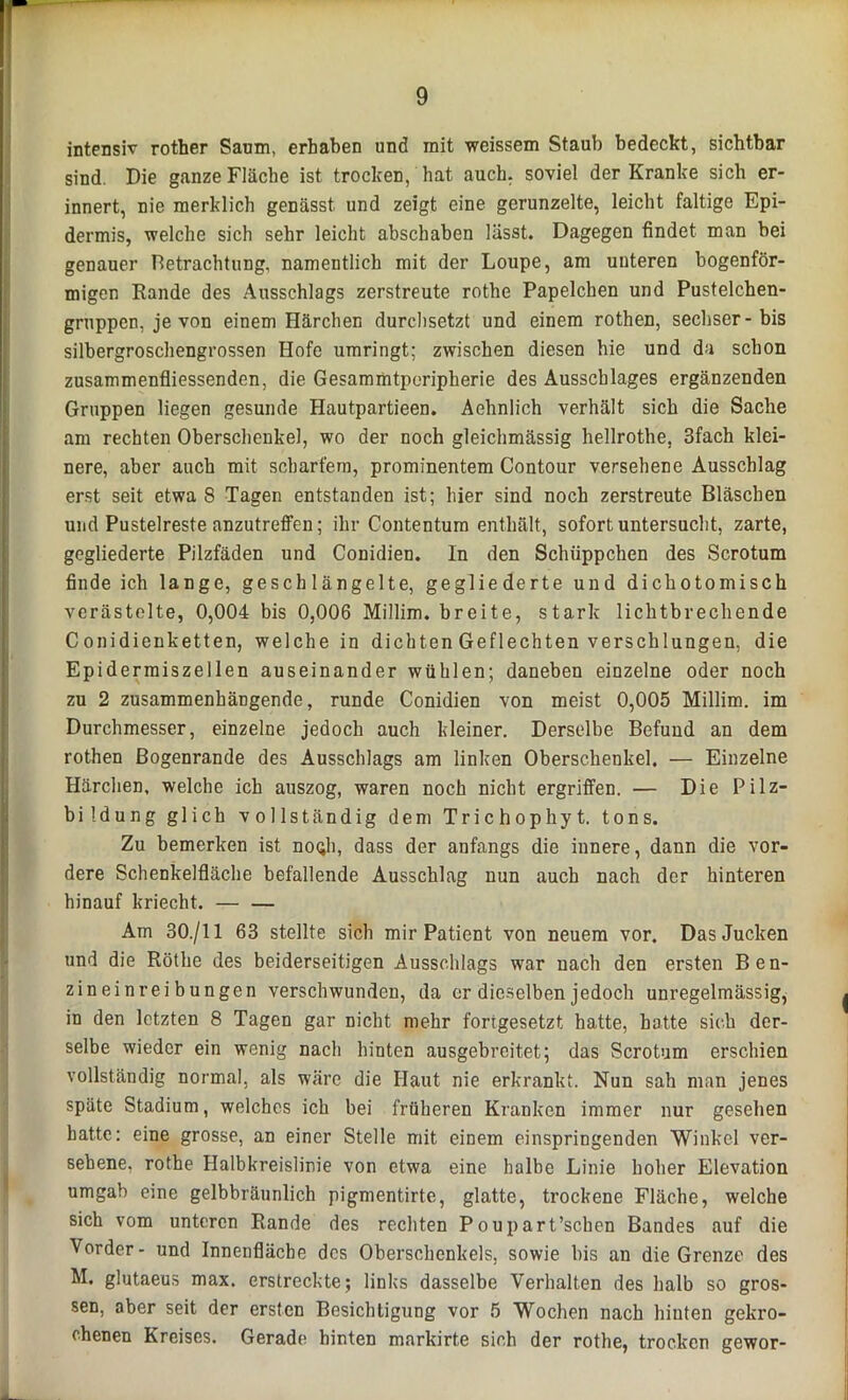 intensiv rother Saum, erhaben und init weissem Staub bedeckt, sichtbar sind. Die ganze Fläche ist trocken, hat auch, soviel der Kranke sich er- innert, nie merklich genässt, und zeigt eine gerunzelte, leicht faltige Epi- dermis, welche sich sehr leicht abschaben lässt. Dagegen findet man bei genauer Betrachtung, namentlich mit der Loupe, am unteren bogenför- migen Rande des Ausschlags zerstreute rothe Papelchen und Pustelchen- gruppen, je von einem Härchen durchsetzt und einem rothen, sechser-bis silbergroschengrossen Hofe umringt; zwischen diesen hie und da schon zusammenfliessenden, die Gesamihtporipherie des Ausschlages ergänzenden Gruppen liegen gesunde Hautpartieen. Aehnlich verhält sich die Sache am rechten Oberschenkel, wo der noch gleichmässig hellrothe, 3fach klei- nere, aber auch mit scharfem, prominentem Contour versehene Ausschlag erst seit etwa S Tagen entstanden ist; hier sind noch zerstreute Bläschen und Pustelreste anzutreffen; ihr Contentum enthält, sofort untersucht, zarte, gegliederte Pilzfäden und Conidien. In den Schüppchen des Scrotum finde ich lange, geschlängelte, gegliederte und dichotomisch verästelte, 0,004 bis 0,006 Millim. breite, stark lichtbrechende C onidienketten, welche in dichten Geflechten verschlungen, die Epidermiszellen auseinander wühlen; daneben einzelne oder noch zu 2 zusammenhängende, runde Conidien von meist 0,005 Millim. im Durchmesser, einzelne jedoch auch kleiner. Derselbe Befund an dem rothen Bogenrande des Ausschlags am linken Oberschenkel. — Einzelne Härchen, welche ich auszog, waren noch nicht ergriffen. — Die Pilz- bildung glich vollständig dem Trichophyt. tons. Zu bemerken ist notjli, dass der anfangs die innere, dann die vor- dere Schenkelfläche befallende Ausschlag nun auch nach der hinteren hinauf kriecht. Am 30./11 63 stellte sich mir Patient von neuem vor. Das Jucken und die Röthe des beiderseitigen Ausschlags war nach den ersten Ben- zineinreibungen verschwunden, da or dieselben jedoch unregelmässig, in den letzten 8 Tagen gar nicht mehr fortgesetzt hatte, hatte sich der- selbe wieder ein wenig nach hinten ausgebreitet; das Scrotum erschien vollständig normal, als wäre die Haut nie erkrankt. Nun sah man jenes späte Stadium, welches ich bei früheren Kranken immer nur gesehen hatte: eine grosse, an einer Stelle mit einem einspringenden Winkel ver- sehene, rothe Halbkreislinie von etwa eine halbe Linie hoher Elevation umgab eine gelbbräunlich pigmentirte, glatte, trockene Fläche, welche sich vom unteren Rande des rechten Poupart’schen Bandes auf die Vorder- und Innenfläche des Oberschenkels, sowie bis an die Grenze des M. glutaeus max. erstreckte; links dasselbe Verhalten des halb so gros- sen, aber seit der ersten Besichtigung vor 5 Wochen nach hinten gekro- chenen Kreises. Gerade hinten markirte sich der rothe, trocken gewor-