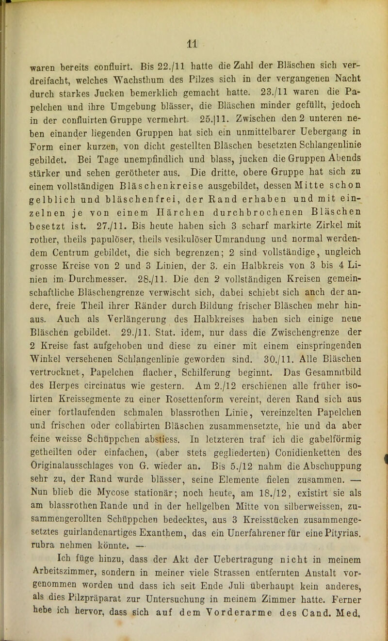 waren bereits confluirt. Bis 22./II hatte die Zahl der Bläschen sich ver- dreifacht, welches 'Wachsthum des Pilzes sich in der vergangenen Nacht durch starkes Jucken bemerklich gemacht hatte. 23./II waren die Pa- pelchen und ihre Umgebung blässer, die Bläschen minder gefüllt, jedoch in der confluirten Gruppe vermehrt. 25.] 11. Zwischen den 2 unteren ne- ben einander liegenden Gruppen hat sich ein unmittelbarer Uebergang in Form einer kurzen, von dicht gestellten Bläschen besetzten Schlangenlinie gebildet. Bei Tage unempfindlich und blass, jucken die Gruppen Abends stärker und sehen gerötheter aus. Die dritte, obere Gruppe hat sich zu einem vollständigen Bläschenkreise ausgebildet, dessen Mitte schon Igelblich und bläschenfrei, der Rand erhaben und mit ein- zelnen je von einem Härchen durchbrochenen Bläschen besetzt ist. 27./11. Bis heute haben sich 3 scharf markirte Zirkel mit rotlier, theils papulöser, theils vesikulöser Umrandung und normal werden- dem Centrum gebildet, die sich begrenzen; 2 sind vollständige, ungleich grosse Kreise von 2 und 3 Linien, der 3. ein Halbkreis von 3 bis 4 Li- nien im Durchmesser. 28./11. Die den 2 vollständigen Kreisen gemein- schaftliche Bläschengrenze verwischt sich, dabei schiebt sich anch der an- dere, freie Theil ihrer Ränder durch Bildung frischer Bläschen mehr hin- aus. Auch als Verlängerung des Halbkreises haben sich einige neue Bläschen gebildet. 29./11. Stat. idem, nur dass die Zwischengrenze der 2 Kreise fast aufgehoben und diese zu einer mit einem einspringenden Winkel versehenen Schlangenlinie geworden sind. 30./11. Alle Bläschen vertrocknet, Papelchen flacher, Scbilferung beginnt. Das Gesammtbild des Herpes circinatus wie gestern. Am 2./12 erschienen alle früher iso- lirten Kreissegmente zu einer Rosettenform vereint, deren Rand sich aus einer fortlaufenden schmalen blassrothen Linie, vereinzelten Papelchen und frischen oder collabirten Bläschen zusammensetzte, hie und da aber feine weisse Schüppchen abstiess. In letzteren traf ich die gabelförmig getheilten oder einfachen, (aber stets gegliederten) Conidienketten des Originalausschlages von G. wieder an. Bis 5./12 nahm die Abschuppung sehr zu, der Rand wurde blässer, seine Elemente fielen zusammen. — Nun blieb die Mycose stationär; noch heute, am 1S./12, existirt sie als am blassrothen Rande und in der hellgelben Mitte von silberweissen, zu- sammengerollten Schüppchen bedecktes, aus 3 Kreisstücken zusammenge- setztes guirlandenartiges Exanthem, das ein Unerfahrener für eine Pityrias. rubra nehmen könnte. — Ich füge hinzu, dass der Akt der Uebertragung nicht in meinem Arbeitszimmer, sondern in meiner viele Strassen entfernten Anstalt vor- genommen worden und dass ich seit Ende Juli überhaupt kein anderes, als dies Pilzpräparat zur Untersuchung in meinem Zimmer hatte. Ferner hebe ich hervor, dass sich auf dem Vorderarme des Cand. Med.