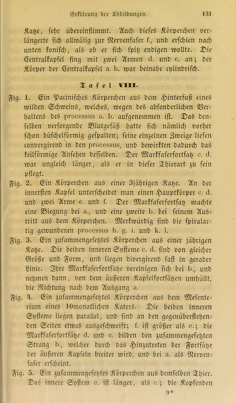 Äalse, fefyr überefnfttmmf. 2£ucl; btcfeS Äorpercfyen ver- längerte ftd; allmälig jur ÜJtervenfafcr f., unb erfd)ien nad; unten fonifd;, als ob er ftd) fpi£ enbigen wollte, £)ie ©entralfapfel ftng mit jwei 2Crmcn d. unb c. an; ber Äörper ber ©entralfapfel a. b. war beinahe cplinbrifcf). 3: a f e l VIII. gtg. 1. ©in 9)acinifd;eS «ftörperdjen auS bem ^)interfuf eines wilben ©cfyweinS, welches, wegen beS abfonberlicfyen 33er; l;altenS beS processus a. b. aufgenommen ift. £)aS ben; felben oerforgenbe 33lutgefäjj l;atte ftd; närnlid; vorl;er fcfyon büfcfjelförmig gehalten; feine einzelnen Svoeige liefen convcrgtrenb in ben processus, unb bewirkten baburd? baS feilförmige 2(nfel;en beffelben. £>er 50?arffafcrfortfa^ c. d. war itngletd; langer, als er in btefer $£l;ierart ju fein pflegt. gig. 2. ©in Äbrperd;en auS einer Bjciljrigen Äa^e. 2Cn ber innerften Äapfel unterfcfyeibet man einen .fpauptforper c. d. unb jwei 2lrme e. unb f. £)er SOtarffaferfortfa^ mad;te eine ffiiegung bei a., unb eine jweite b. bei feinem 2£uS- tritt auS bem jtbrpercfyen. 50terfwiirbig ftnb bie fptralar; tig gewunbcnett processus b. g. i. unb k. 1. gig. 3. ©tn jufammengefe^teS jtörperd;en auS einer jährigen Äa^e. £)ie beiben inneren ©pjteme c. d. ftnb von gleid;er ©röße unb gorm, unb liegen bivergtrenb faft in geraber Sinte. 5l;re SOtarffaferfortfa^e vereinigen ftcl; bei b., unb nel;tnen bann, von bem äußeren jtapfelfortfabcn umhüllt, bie 9ticl)tung nad; bem 2CuSgang a. gig. 4. ©in jufammengefebteS Äbrpcrd;cn auS bem Gefeilte- rium eines 10monatlid;en ÄaterS. £)ie beiben inneren ©pfteme liegen parallel, unb ftnb an ben gegenüberftefjens ben ©eiten etwas auSgefdpveift; f. ift großer als e.; bie gjtarffaferfortfäbe d. unb c. bilben ben jufammengefe^ten ©trang b., wcld;er burd; baS ^tnjutreten ber gortfäf;e ber äußeren Äapfeln breiter wirb, unb bei a. als Nerven; fafer erfd;cint. gig. 5. ©in jufamwengefebteS Äörpercfyen auS bcmfelben 3d;ier. £>aS innere ©pftem c. ift langer, als c.; bie .ftopfettben 9*