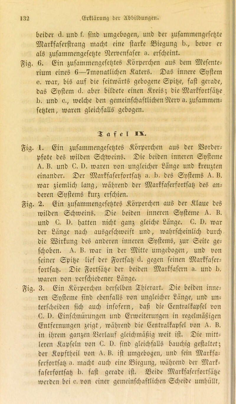 beiber d. unb f. ftnb umgebogen, unb bev jufammengefe^te 50?avFfaferftrang macht eine ftarfe SSiegung b., beoor er als? jufammengefefcte 9teroenfafer a. erfdheint. gig. G. Gin jufammengefebteS Äörpercben auS bem S0?efente= dum eine§ 6—'7monatltcben ÄaterS. SaS innere ©pfiem e. mar, bis auf bie feitmärtS gebogene ©ptbe, faft gerabe, baS ©pftem d. aber bilbete einen ÄretS; bie SKarffortfäbe b. unb c., melcbe ben gemetnfdjaftlicben üftero a. jufammens festen, maren gletd?faÜS gebogen. 3: a fei IX. gig. 1. Gin jufammengefebtcS Äörpercfyen auS ber ©orber; pfote beS milben ©cbvoeinS. Sie beiben inneren ©pfteme A. B. unb C. D. maren oon ungleicher Sänge unb freuten einanber. Ser SSJtarffaferfortfab a. b. beS ©pftemS A. B. mar jiemlicb lang, rnäfrenb ber SDlarffaferfortfab beS an; beren ©pftemS furj erfdfien. gig. 2. Gin jufammengefebteS Körperchen auS ber Klaue beS milben ©chroeinS. Sie beiben inneren ©pfteme A. B. unb C. D. batten nid;t ganj gleiche Sänge. C. D. mar ber Sänge nad; auSgefdpoeift unb, mabrfcbeinlicb bureb bie SBirfung beS anberen inneren ©pftemS, jur ©eite ge; flohen. A. B. mar in ber SJtitte umgebogen, unb oon feiner ©pibe lief ber gortfab d. gegen feinen SDtarffafer; fortfab- Sie gortfäbe ber beiben SOtarffafern a. unb b. maren oon oerfdfiebener Sänge. gig. 3. Gtn Körperchen berfelben Sbierart. Sie beiben inne; ren ©pfteme ftnb ebenfalls oon ungleicher Sänge, unb um terfebeiben ftd; aud) infofern, baß bie Gentralfapfel oon G. I). Ginfdpiürungcn unb Grmeiterungen in regelmäßigen Entfernungen geigt, mäbvenb bie Gentralfapfel oon A. B. in ihrem ganjett ©erlauf gleichmäßig meit ift. Sie mitt; leren Kapfeltt oon C. D. ftnb gleichfalls bauchig geftaltet; ber Kopftbetl oon A. B. ift umgebogen, unb fein SOtarffa; ferfortfab a. macht auch eine SBiegung, mährenb ber SJtarf; faferfortfab b* faft gerabe ift. S3eibe SDtarffaferfortfäbe merben bei c. oon einer gemeinfchaftlichcn ©d;eibe umhüllt,