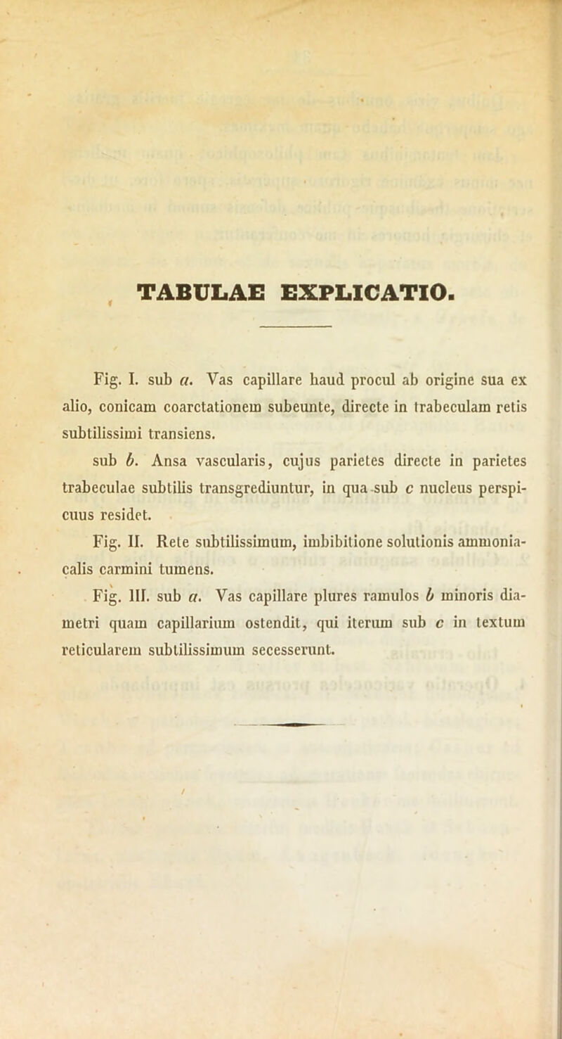 TABULAE EXPLICATIO Fig. I. sub a. Vas capillare haud procul ab origine sua ex alio, conicam coarctationem subeunte, directe in trabeculam retis subtilissimi transiens. sub b. Ansa vascularis, cujus parietes directe in parietes trabeculae subtilis transgrediuntur, in qua sub c nucleus perspi- cuus residet. Fig. II. Rete subtilissimum, imbibitione solutionis ammonia- calis carmini tumens. Fig. III. sub a. Vas capillare plures ramulos b minoris dia- metri quam capillarium ostendit, qui iterum sub c in textum reticularem subtilissimum secesserunt.