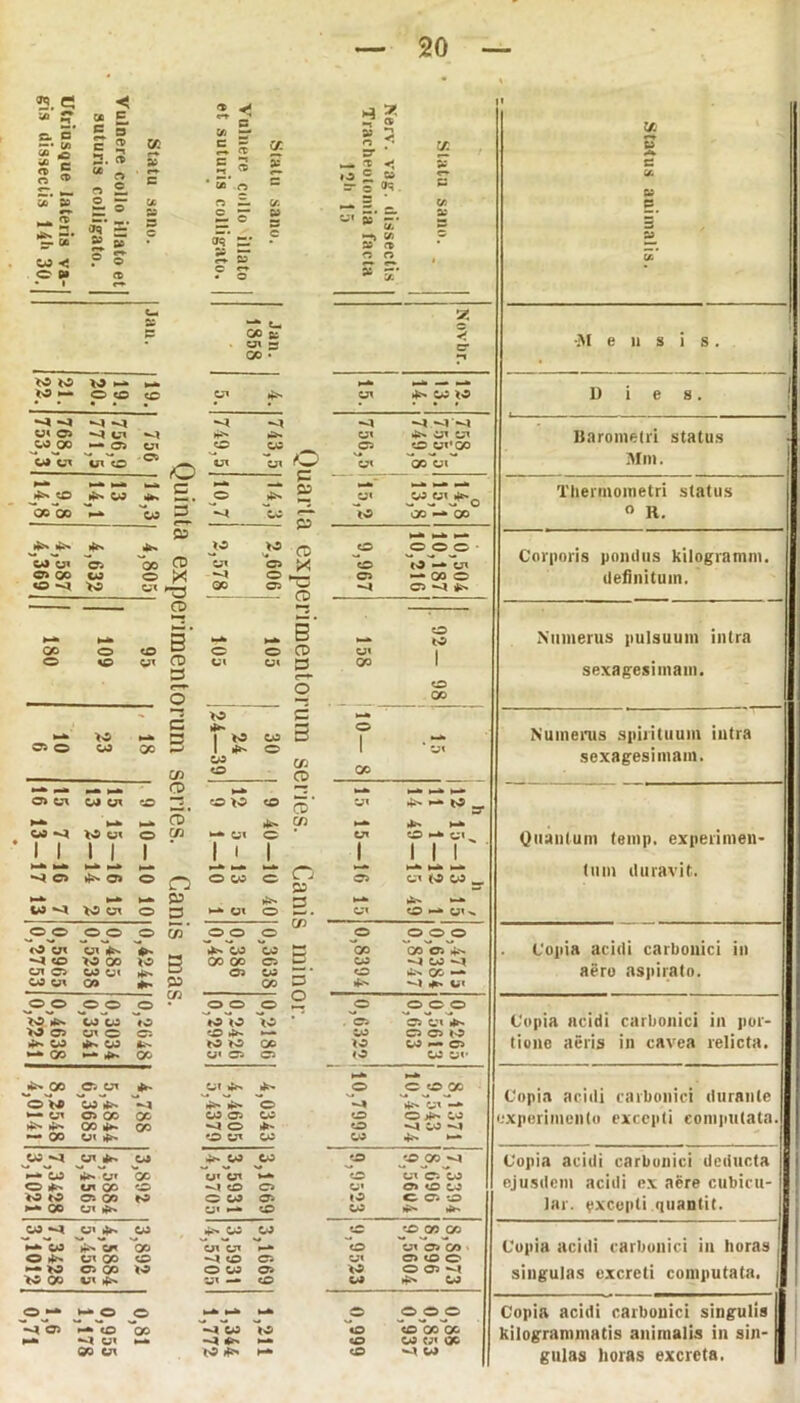 jq ej < » s. c. 5* —• l/i oc C c* c c D a e*» W> C g lO r* 2. s r-t as c <D £ o oo’ o c c •-! * S’ S&’ as £ © ac as o c _ .. ft is- Jq* a» — • s* et- s c jq* Sfi w < £*> •° O c (A X = cr. c M * s < sr * N— “t «< =r c 0^ £ ST p u' S* -* = o X, a: a 00 s- • CSX ~ oo • —t IO IO IO ^ — •»* io *— O «o g CSX 45» CSX 45» 03 IO • * * • * • * -4 -4 ^-1 -1 -4-4 CS* 05 -4 csx H5» ^» CSX 4i» CSX CSX oo 00 — 05 CSX o 03 O C5 CO CSX'00 OS CSX cn co 05 o CSX CSX CSX bo bx •— ►—» E <—* —* —• — *>» G >fc» 03 4»» O 4^ CSX 03 CSX 4*»^ oo bo •-* 03 3 04 r— IO bo — GO P P 1—te .**&>* 4*. 4*» 4*» w IO CD CO o o o - O) o< a- 00 O CSX 05 * o (O -» tu 05 OO co O X o 05 — GO o O »4 >o CSX ^3 00 05 2 05 »4 4s» 2 . >— 5' »•* I-* E , ■ O IO OO o CO <T> o o CD CSX O g CSX CSX CSX 3 co 1 3 CO o O GO •Z 3 >_» c 4e» o «c. •— s 03 3 1 >—*» as o co 00 1 4»» O 1 CS* Cfl 03 O yj co oc »-» Q o> csx CO UT G Z2. o O “ OX 4>- »» V9 ►-* H-* CD 4t» H-fc 45» >-* OS -4 | 1 W W' 1 1 0 1 C/3 — ox 1 1 0 1 CSX 1 CO ^ CSX 1 1 1 1 1 >-* «-» • 1 »-* 1 1 1 *-* >—» 1 o p 1 1 1 1 Hk M k- *4 O >t=- o> o n O 03 O 05 CSX (O 03 _ *—* Mfc p 45» k-fc 45- •— to *4 ro m o 3 O y * CSX CO *-* CSX ». O o O o o o o O o O O O <o CSX CSX 4^ 4»» 4=» CO 03 f—*. GO GO 05 4s» -4 G io 00 *o 3 00 00 05 D 03 4 W *4 CSX o 03 CS* 45» 05 03 “ • CO 4.-» CO — 09 yt CO *» GO C/3 CO *» 4 4*» C« O O o o O O o o O o O O O io 45» co co ♦O IO IO IO 05 05 OX 45» >o cs CJ1 O o; O 4»» CO C5 05 IO 4*» 03 4*» 03 tu-» to IO oo IO 03 e— C5 CO — 4>» 00 CS« 05 C5 IO 03 Ox* 4*. GO 05 CSX 45» CSX 4r» 4:» o C oco o i© 03 4>» •4 4i» 4j» O •4 45» CS' -*■ 05 CC GO 03 05 03 co c 45» ao *5» 4-^ 00 4*» CO -4 O 4r» CO *4 W ^1 — 00 CS* 45» O CSX 03 03 45» 5— CC M CSX 4r» 03 45» CO 03 co '0 00 4 «— CC 4*» O' CO U» CSX *-*. cO CSX o. 03 <=> *» cn GO g —? CO 05 O' o> O w io io 05 CO ro O 03 05 IO G 05 tO 00 CM 4»» CS' cO 03 «^» 45» CO -4 O» 45» 03 45» 03 03 cO CO 00 CO *-•» 03 45» UT CO CSX CSX r—* O csx 05 cn o *» csx oo g 4 CO 05 CSX G G O •— >o 05 QO IO O 03 05 <o O G *-» *o oo V\ 41» CSX — CO w 45» 03 o — O O *-*■ »— O O O -4 05 »-» G QO 4 03 IO «o G CO QO 4 u< _• ~4 45» >—» «o OS CS* 00 00 CSX IO 45» CO -»l 03 i' y 5 c J. V p. fi» K* •Mensis. 1) i e s. ]i aro metri status Mm. Thermometri status 0 R. Corporis pondus kilogramm. definitum. Numerus pulsuum intra sexagesimam. Numerus spirituum intra sexagesimam. Quantum temp. experimen- tum duravit. Copia acidi carbouici in aero aspirato. Copia acidi carbonici in por- tione aeris in cavea relicta. Copia acidi carbonici durante experimento excepti computata. Copia acidi carbonici deducta ejusdem acidi ex aere cubicu- lar. excepti quantit. Copia acidi carbonici in horas singulas excreti computata. Copia acidi carbouici singulis kilogrammatis animalis in sin- gulas horas excreta. |
