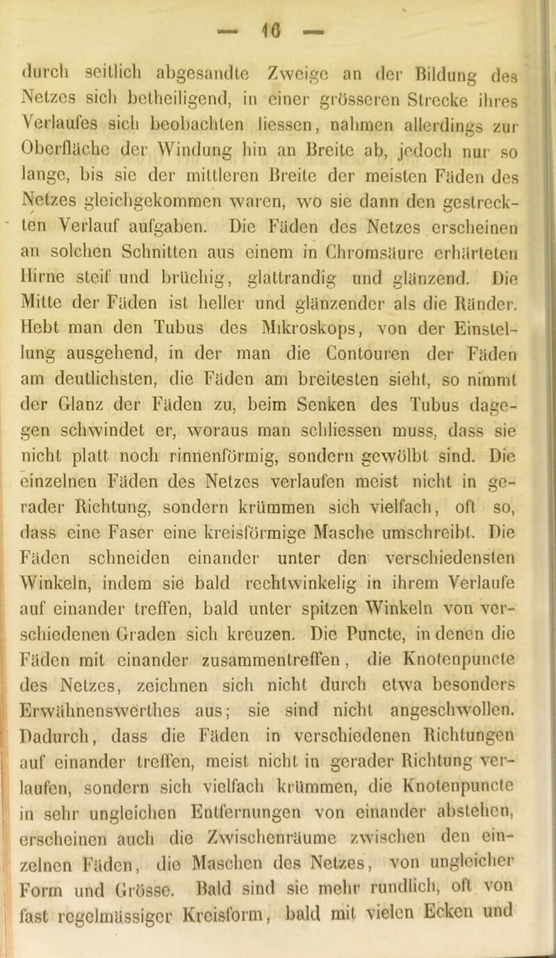 durch seitlich abgesandte Zweige an der Bildung des Netzes sich betheiligend, in einer grösseren Strecke ihres Verlaufes sieb beobachten liessen, nahmen allerdings zur Oberfläche der Windung hin an Breite ab, jedoch nur so lange, bis sie der mittleren Breite der meisten Faden des Netzes gleichgekommen waren, wo sie dann den gestreck- ten Verlauf aufgaben. Die Faden des Netzes erscheinen an solchen Schnitten aus einem in Chromsaure erhärteten Hirne steif und brllchig, glattrandig und glanzend. Die Milte der Faden ist heller und glänzender als die Ränder. Hebt man den Tubus des Mikroskops, von der Einstel- lung ausgehend, in der man die Conlouren der Faden am deutlichsten, die Faden am breitesten sieht, so nimmt der Glanz der Faden zu, beim Senken des Tubus dage- gen schwindet er, woraus man scliliessen muss, dass sie nicht platt noch rinnenförmig, sondern gewölbt sind. Die einzelnen Faden des Netzes verlaufen meist nicht in ge- rader Richtung, sondern krümmen sich vielfach, oft so, dass eine Faser eine kreisförmige Masche umschreibt. Die Faden schneiden einander unter den verschiedensten Winkeln, indem sie bald rechtwinkelig in ihrem Verlaufe auf einander treffen, bald unter spitzen Winkeln von ver- schiedenen Graden sich kreuzen. Die Puncte, in denen die Faden mit einander Zusammentreffen, die Knotenpuncte des Netzes, zeichnen sich nicht durch etwa besonders Erwähncnswerlhes aus; sie sind nicht angeschwollen. Dadurch, dass die Faden in verschiedenen Richtungen auf einander treffen, meist nicht in gerader Richtung ver- laufen, sondern sich vielfach krümmen, die Knotenpuncte in sehr ungleichen Entfernungen von einander abstehen, erscheinen auch die Zwischenräume zwischen den ein- zelnen Faden, die Maschen des Netzes, von ungleicher Form und Grösse. Bald sind sic mehr rundlich, oft von fast regelmässiger Kreisform, bald mit vielen Ecken und