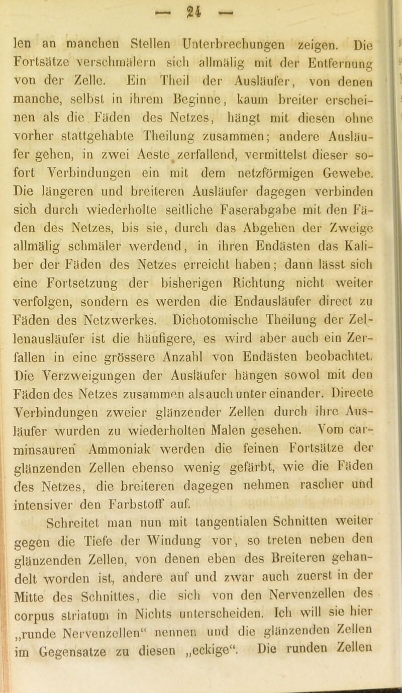 ]cn an manchen Stellen Unterbrechungen zeigen. Die Fortsätze verschmälern sich allmälig mit der Entfernung von der Zelle. Ein Theil der Ausläufer, von denen manche, selbst in ihrem Beginne, kaum breiter erschei- nen als die Fäden des Netzes, hängt mit diesen ohne vorher stattgehabte Theilung zusammen; andere Ausläu- fer gehen, in zwei Aeste^zerfallend, vermittelst dieser so- fort Verbindungen ein mit dem netzförmigen Gewebe. Die längeren und breiteren Ausläufer dagegen verbinden sich durch wiederholte seitliche Faserabgabe mit den Fä- den des Netzes, bis sie, durch das Abgehen der Zweige allmälig schmäler werdend, in ihren Endästen das Kali- ber der Fäden des Netzes erreicht haben; dann lässt sich eine Fortsetzung der bisherigen Richtung nicht weiter verfolgen, sondern es werden die Endausläufer direct zu Fäden des Netzwerkes. Dichotomische Theilung der Zel- lenausläufer ist die häufigere, es wird aber auch ein Zer- fallen in eine grössere Anzahl von Endästen beobachtet. Die Verzweigungen der Ausläufer hängen sowol mit den Fäden des Netzes zusammen alsauch unter einander. Direcle Verbindungen zweier glänzender Zellen durch ihre Aus- läufer wurden zu wiederholten Malen gesehen. Vom car- minsaureri Ammoniak werden die feinen Fortsätze der glänzenden Zellen ebenso wenig gefärbt, wie die Fäden des Netzes, die breiteren dagegen nehmen rascher und intensiver den FarbstolF auf. Schreitet man nun mit tangentialen Schnitten weiter gegen die Tiefe der Windung vor, so treten neben den glänzenden Zellen, von denen eben des Breiteren gehan- delt worden ist, andere auf und zwar auch zuerst in der Mitte des Schnittes, die sich von den Nervenzellen des corpus Striatum in Nichts unterscheiden. Ich will sie hier „runde Nervenzellen“ nennen und die glänzenden Zellen im Gegensätze zu diesen „eckige“. Die runden Zellen
