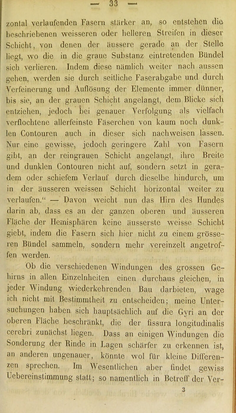 zontal verlaufenden Fasern starker an, so entstehen die beschriebenen weisseren oder helleren Streifen in dieser Schicht, von denen der äussere gerade an der Stelle liegt, wo die in die graue Substanz eintretenden Bündel sich verlieren. Indem diese nämlich weiter nach aussen gehen, werden sie durch seitliche Faserabgabe und durch Verfeinerung und Auflösung der Elemente immer dünner, bis sie, an der grauen Schicht angelangt, dem Blicke sich entziehen, jedoch bei genauer Verfolgung als vielfach verflochtene allerfeinste Fäserchen von kaum noch dunk- len Contouren auch in dieser sich nachweisen lassen. Nur eine gewisse, jedoch geringere Zahl von Fasern gibt, an der reingrauen Schicht angelangt, ihre Breite und dunklen Contouren nicht auf, sondern setzt in gera- dem oder schiefem Verlauf durch dieselbe hindurch, um in der äusseren weissen Schicht horizontal weiter zu verlaufen.“ — Davon weicht nun das Hirn des Hundes darin ab, dass es an der ganzen oberen und äusseren Fläche der Hemisphären keine äusserste weisse Schicht giebt, indem die Fasern sich hier nicht zu einem grösse- ren Bündel sammeln, sondern mehr vereinzelt angetrof- fen werden. Ob die verschiedenen Windungen des grossen Ge- hirns in allen Einzelnheiten einen durchaus gleichen, in jeder Windung wiederkehrenden Bau darbieten, wage ich nicht mit Bestimmtheit zu entscheiden; meine Unter- suchungen haben sich hauptsächlich auf die Gyri an der oberen Fläche beschränkt, die der fissura longitudinalis cerebri zunächst liegen. Dass an einigen Windungen die Sonderung der Rinde in Lagen schärfer zu erkennen ist, an anderen ungenauer, könnte wol für kleine Differen- zen sprechen. Im Wesentlichen aber findet gewiss Uebereinstimmung statt; so namentlich in Betreff der Ver- 3