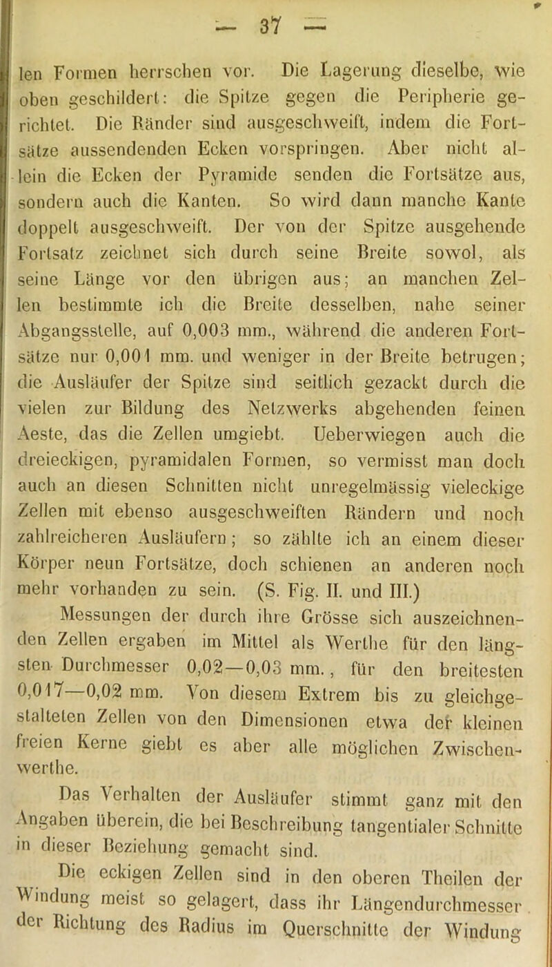 len Formen herrschen vor. Die Lagerung dieselbe, wie oben geschildert: die Spitze gegen die Peripherie ge- richtet, Die Ränder sind ausgeschweift, indem die Fort- sätze aussendenden Ecken vorspringen. Aber nicht al- lein die Ecken der Pyramide senden die Fortsätze aus, sondern auch die Kanten. So wird dann manche Kante doppelt ausgeschweift. Der von der Spitze ausgehende Fortsatz zeichnet sich durch seine Breite sowol, als seine Länge vor den übrigen aus; an manchen Zel- len bestimmte ich die Breite desselben, nahe seiner Abgangsslelle, auf 0,003 mm., während die anderen Fort- sätze nur 0,001 mm. und weniger in der Breite betrugen; die Ausläufer der Spitze sind seitlich gezackt durch die vielen zur Bildung des Netzwerks abgehenden feinen Aeste, das die Zellen umgiebt, Ueberwiegen auch die dreieckigen, pyramidalen Formen, so vermisst man doch auch an diesen Schnitten nicht unregelmässig vieleckige Zellen mit ebenso ausgeschweiften Rändern und noch zahlreicheren Ausläufern ; so zählte ich an einem dieser Körper neun Fortsätze, doch schienen an anderen noch mehr vorhanden zu sein. (S. Fig. II. und III.) Messungen der durch ihre Grösse sich auszeichnen- den Zellen ergaben im Mittel als Werthe für den läng- sten Durchmesser 0,02—0,03 mm., für den breitesten 0,017—0,02 mm. Von diesem Extrem bis zu gleichge- stalteten Zellen von den Dimensionen etwa der kleinen fieien Keine giebt es aber alle möglichen Zwischen- werthe. Das Veihalten der Ausläufer stimmt ganz mit den Angaben überein, die bei Beschreibung tangentialer Schnitte in dieser Beziehung gemacht sind. Die eckigen Zellen sind in den oberen Theilen der Windung meist so gelagert, dass ihr Längendurchmesser der Richtung des Radius im Querschnitte der Windung