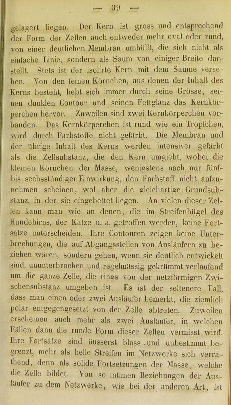 gelagert liegen. Der Kern ist gross und entsprechend der Form der Zellen auch entweder mehr oval oder rund, von einer deutlichen Membran umhüllt, die sich nicht als einfache Linie, sondern als Saum von einiger Breite dar- stellt. Stets ist der isolirte Kern mit dem Saume verse- hen. Von den feinen Körnchen, aus denen der Inhalt des Kerns besteht, hebt sich immer durch seine Grösse, sei- nen dunklen Contour und seinen Fettglanz das Kernkör- perchen hervor. Zuweilen sind zwei Kernkörperchen vor- handen. Das Kernkörperchen ist rund wie ein Tröpfchen, wird durch Farbstoffe nicht gefärbt. Die Membran und der übrige Inhalt des Kerns werden intensiver gefärbt als die Zellsubstanz, die den Kern umgiebt, wobei die kleinen Körnchen der Masse, wenigstens nach nur fünf- bis sechsstündiger Einwirkung, den Farbstoff nicht aufzu- nehmen scheinen, wol aber die gleichartige Grundsub- stanz, in der sie eingebettet liegen. An vielen dieser Zel- len kann man wie an denen, die im Streifenhügel des Hundehirns, der Katze u. a. getroffen werden, keine Fort- sätze unterscheiden. Ihre Contouren zeigen keine Unter- brechungen, die auf Abgangsstellen von Ausläufern zu be- ziehen wären, sondern gehen, wenn sie deutlich entwickelt sind, ununterbrochen und regelmässig gekrümmt verlaufend um die ganze Zelle, die rings von der netzförmigen Zwi- schensubstanz umgeben ist. Es ist der seltenere Fall, dass man einen oder zwei Ausläufer bemerkt, die ziemlich polar entgegengesetzt von der Zelle abtreten. Zuweilen erscheinen auch mehr als zwei Ausläufer, in welchen l allen dann die runde Form dieser Zellen vermisst wird. Ihre Fortsätze sind äusserst blass.und unbestimmt be- grenzt, mehr als helle Streifen im Netzwerke sich verra- thend, denn als solide Fortsetzungen der Masse, welche die Zelle bildet. Von so intimen Beziehungen der Aus- läufer zu dem Netzwerke, wie bei der anderen Art, ist