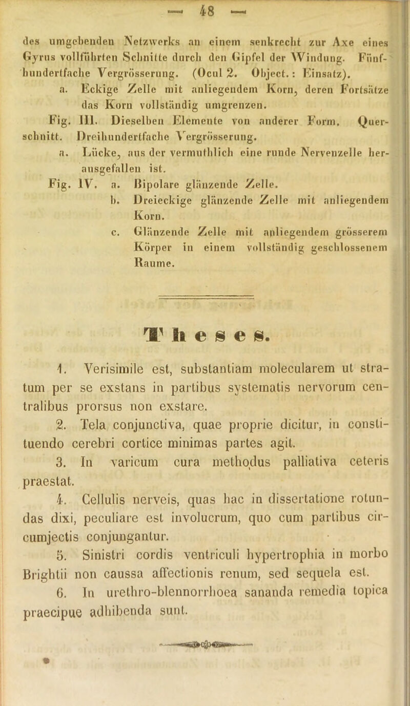 48 des umgebenden Netzwerks an einem senkrecht zur Axe eines Gyrus vollfiihrten Schnitte durch den Gipfel der Windung. Fiinf- hundertfache Vergrösserung. (Ocul 2. Object.: Einsatz). a. Eckige Zelle mit anliegendem Korn, deren Fortsätze das Korn vollständig umgrenzen. Fig. 111. Dieselben Elemente von anderer Form. Quer- schnitt. Dreihundertfache Yergrüsserung. a. Lücke, aus der vermuthlich eine runde Nervenzelle her- ausgefallen ist. Fig. IV. a. Bipolare glänzende Zelle. b. Dreieckige glänzende Zelle mit anliegendem Korn. c. Glänzende Zelle mit anliegendem grösserem Körper in einem vollständig geschlossenem Raume. rflP liese s. 1. Verisimile est, substantiam molecularem ut Stra- tum per se exstans in parlibus syslematis nervorum cen- tralibus prorsus non exstare. % Tela conjunctiva, quae proprie dicitur, in consli- tuendo cerebri cortice minimas partes agit. 3. In varicum cura methodus palliativa ceteris praestat. 4. Cellulis nerveis, quas liac in dissertatione rotun- das dixi, peculiare est involucrum, quo cum parlibus cir- cumjectis conjungantur. 5. Sinistri cordis ventriculi hypertroplua in morbo Brightii non caussa affectionis renum, sed sequela est. 6. In urethro-blennorrhoea sananda remedia topica praecipue adbibenda sunt.