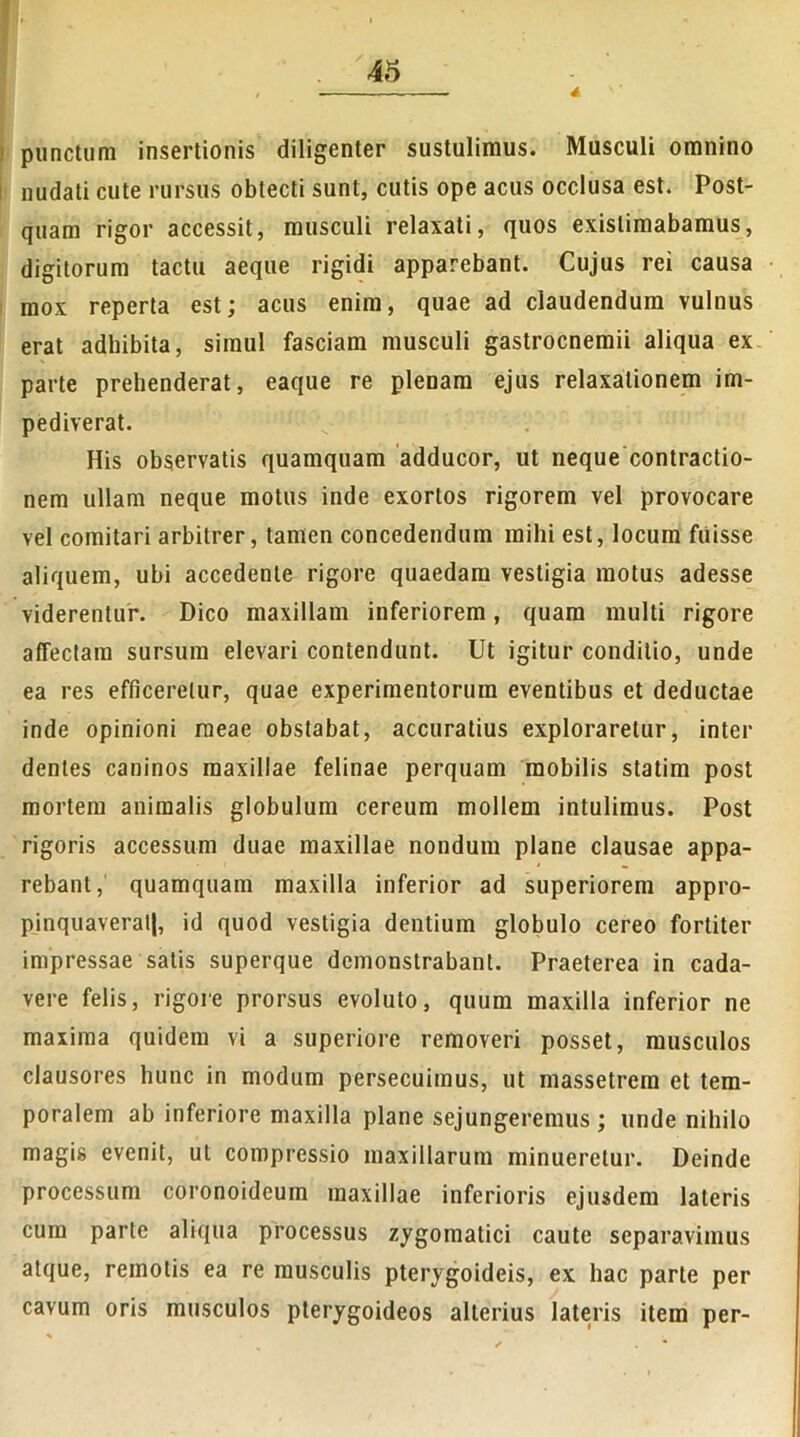 4 punctum insertionis diligenter sustulimus. Musculi omnino nudati cute rursus obtecti sunt, cutis ope acus occlusa est. Post- quam rigor accessit, musculi relaxati, quos existimabamus, digitorum tactu aeque rigidi apparebant. Cujus rei causa mox reperta est; acus enim, quae ad claudendum vulnus erat adbibita, simul fasciam musculi gastrocnemii aliqua ex parte prehenderat, eaque re plenam ejus relaxationem im- pediverat. His observatis quamquam adducor, ut neque contractio- nem ullam neque motus inde exortos rigorem vel provocare vel comitari arbitrer, tamen concedendum mihi est, locum fuisse aliquem, ubi accedente rigore quaedam vestigia motus adesse viderentur. Dico maxillam inferiorem, quam multi rigore affectam sursum elevari contendunt. Ut igitur conditio, unde ea res efficeretur, quae experimentorum eventibus et deductae inde opinioni meae obstabat, accuratius exploraretur, inter dentes caninos maxillae felinae perquam mobilis statim post mortem animalis globulum cereum mollem intulimus. Post rigoris accessum duae maxillae nondum plane clausae appa- rebant, quamquam maxilla inferior ad superiorem appro- pinquaverat!, id quod vestigia dentium globulo cereo fortiter impressae salis superque demonstrabant. Praeterea in cada- vere felis, rigore prorsus evoluto, quum maxilla inferior ne maxima quidem vi a superiore removeri posset, musculos clausores hunc in modum persecuimus, ut massetrem et tem- poralem ab inferiore maxilla plane sejungeremus ; unde nihilo magis evenit, ut compressio maxillarum minueretur. Deinde processum coronoideum maxillae inferioris ejusdem lateris cum parte aliqua processus zygomatici caute separavimus atque, remotis ea re musculis pterygoideis, ex hac parte per cavum oris musculos pterygoideos alterius lateris item per-