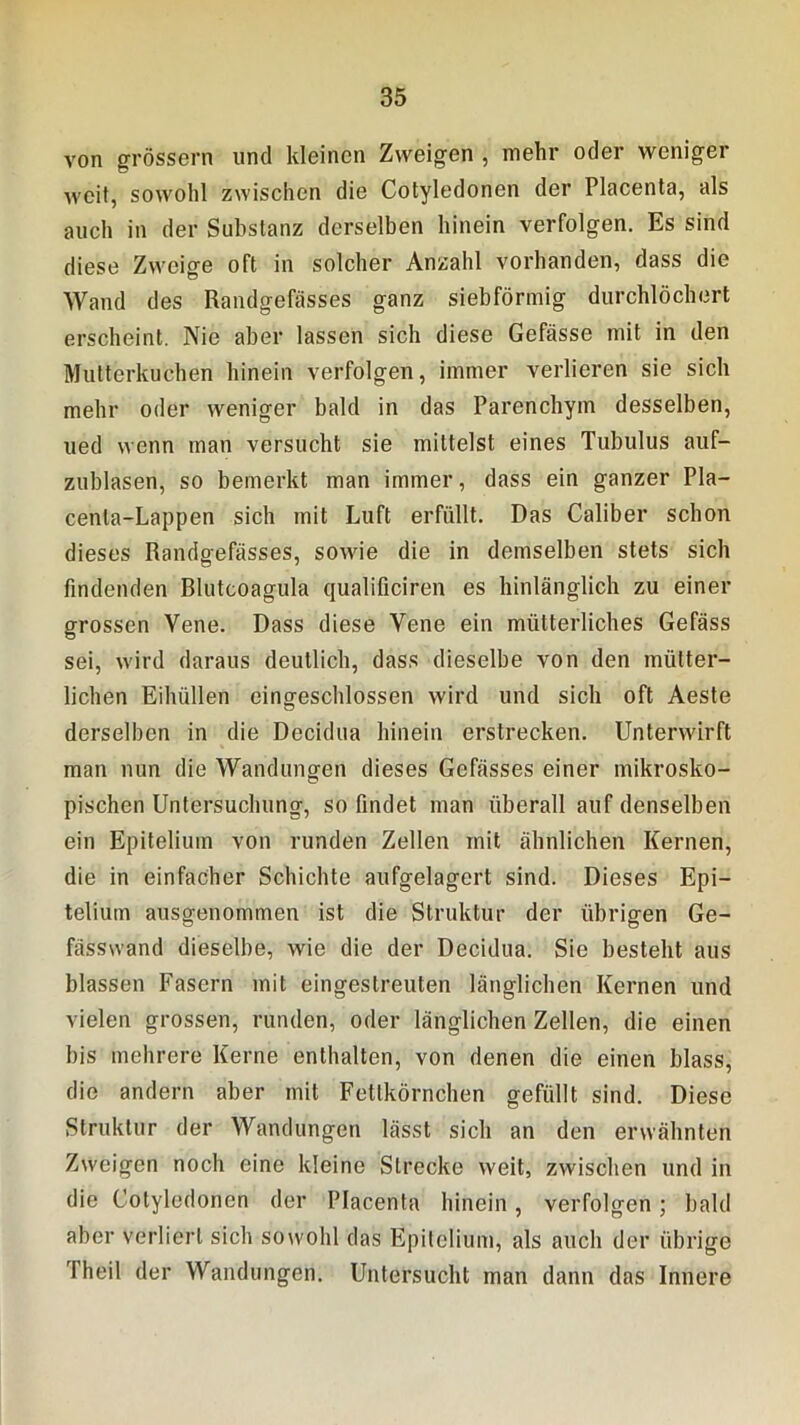 von grossem und kleinen Zweigen , mehr oder weniger weit, sowohl zwischen die Cotyledonen der Placenta, als auch in der Substanz derselben hinein verfolgen. Es sind diese Zweige oft in solcher Anzahl vorhanden, dass die Wand des Randgefösses ganz siebförmig durchlöchert erscheint. Nie aber lassen sich diese Gefässe mit in den Mutterkuchen hinein verfolgen, immer verlieren sie sich mehr oder weniger bald in das Parenchym desselben, ued wenn man versucht sie mittelst eines Tubulus auf- zublasen, so bemerkt man immer, dass ein ganzer Pla- cenla-Lappen sich mit Luft erfüllt. Das Caliber schon dieses Randgefässes, sowie die in demselben stets sich findenden Rlutcoagula qualificiren es hinlänglich zu einer grossen Vene. Dass diese Vene ein mütterliches Gefäss sei, wird daraus deutlich, dass dieselbe von den mütter- lichen Eihüllen eingeschlossen wird und sich oft Aeste derselben in die Decidua hinein erstrecken. Unterwirft man nun die Wandungen dieses Gefässes einer mikrosko- pischen Untersuchung, so findet man überall auf denselben ein Epitelium von runden Zellen mit ähnlichen Kernen, die in einfacher Schichte aufgelagert sind. Dieses Epi- telium ausgenommen ist die Struktur der übrigen Ge- fässwand dieselbe, wie die der Decidua. Sie besteht aus blassen Fasern mit eingestreuten länglichen Kernen und vielen grossen, runden, oder länglichen Zellen, die einen bis mehrere Kerne enthalten, von denen die einen blass, die andern aber mit Fettkörnchen gefüllt sind. Diese Struktur der Wandungen lässt sich an den erwähnten Zweigen noch eine kleine Strecke weit, zwischen und in die Cotyledonen der Placenta hinein, verfolgen; bald aber verliert sich sowohl das Epitelium, als auch der übrige Theil der Wandungen. Untersucht man dann das Innere