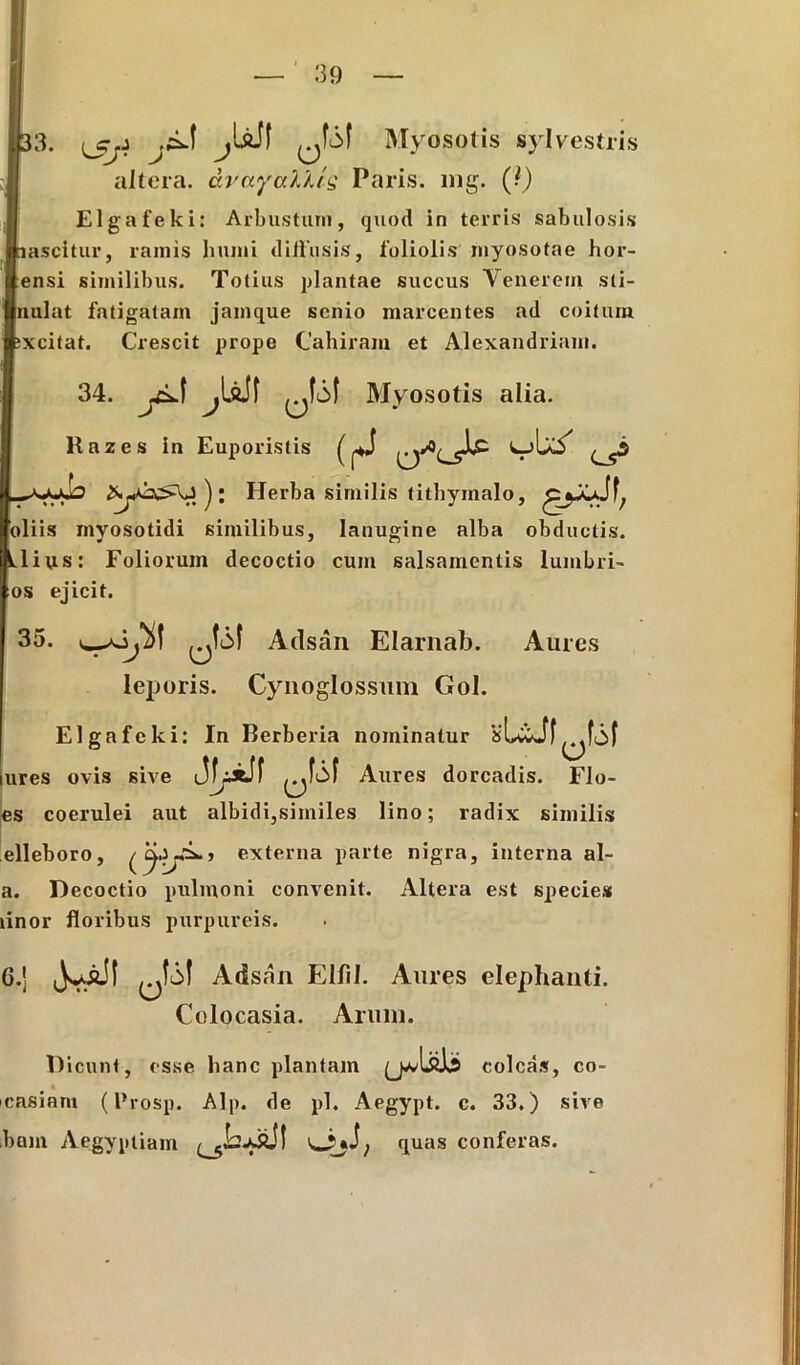 i 39 33. (Cj.j jUJf Myosotis sylvestris altera, dvayalllg Paris, liig. (?) Elgafeki: Arbustum, quod in terris sabulosis nascitur, ramis humi dillusis, foliolis myosotae hor- ensi similibus. Totius plantae succus Venerem sli- nulat fatigatam jamque senio marcentes ad coitum ;xcitat. Crescit prope Cahiram et Alexandriani. 34. JstS\ Myosotis alia. Razes in Euporistis (^ ^3 Zy^2£>\J ) ; Herba similis tithymalo, oliis myosotidi similibus, lanugine alba obductis. Lliu : Foliorum decoctio cum salsamentis lumbri- os ejicit. 35. sja\ jjliM Adsan Elarnab. leporis. Cynoglossiim Gol. Aures Elgafeki: In Berberia nominatur ures ovis sive Aures dorcadis. Flo- es coerulei aut albidi,similes lino; radix similis elleboro, externa parte nigra, interna al- a. Decoctio pulmoni convenit. Altera est species linor floribus purpureis. 6.j Adsan Elfil. Aures elephanti. Colocasia. Arum. Dicunt, esse hanc plantam (_yvlsls colcas, co- » casiam (Prosp. Alp. de pl. Aegypt. c. 33. ) sive bam Aegyptiam OyJ; quas conferas.