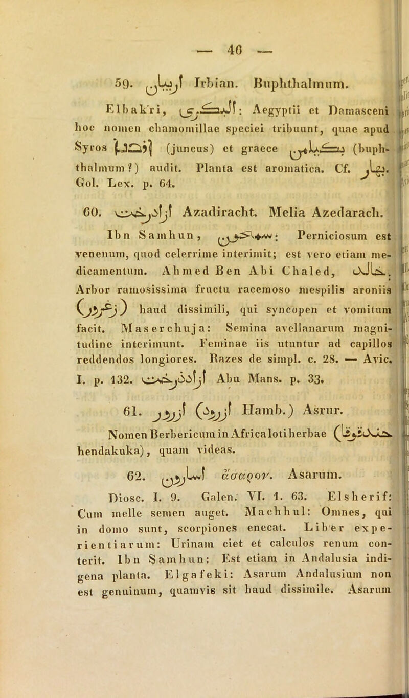 40 5<). Jrbian. Buphtlialimim. Elbakri, (s_c-...<=3jJ| ; Aegyptii et Damasceni hoc nomen chamomillae speciei tribuunt, quae apud Syros (juncus) et graece (bupli- thalinum?) audit. Planta est aromatica. Cf. ^Lzj. Gol. Lex. p. 64. 60. Azadiracht. Melia Azedarach. * ni' Ibn Samhun, Perniciosum est venenum, quod celerrime interimit; est vero etiam me- dicamentum. Ahmed lien Abi Chaled, OsJlcL. I1 Arbor ramosissima fructu racemoso mespilis aroniis C haud dissimili, qui syncopen et vomitum 'J Li facit. Maserchuja: Semina avellanarum magni- i tudine interimunt. Feminae iis utuntur ad capillos ij reddendos longiores. Razes de simpl. c. 2S. — Avie. I. p. 132. Abu Mans. p. 33. 61. (bj Hamb.) Asrur. C.. .. hendakuka), quam videas. 62. acrccQOi' D iosc. I. 9. Galen. VI. 1. 63. Elsherif Asarum. : Cum meile semen auget. Machhul: Omnes, qui in domo sunt, scorpiones enecat. Liber expe- rientiarum: Urinam ciet et calculos renum con- terit. Ibn Samhun: Est etiam in Andalusia indi- gena planta. Elgafeki: Asarum Andalusium non est genuinum, quamvis sit haud dissimile. Asarum