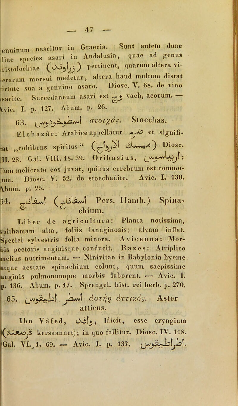 ■enuimim nascitur in Graecia. Sunt autem duae Iliae species asari in Andalusia, quae ad genus iristolocliiae (cXi^j) pertinent, quarum altera vi- ierarum morsui medetur, altera haud multum distat irtute sua a genuino asaro. Diosc. Y. 68. de vino isarite. Succedaneum asari est ^ vach, acorum. — Lvic. I. p. 127. Abum. p. 26. 63. oxor/dg. Stoecltas. EIch azar: Arabice appellatur et signifi- cat ,,cohibens spiritus» ) Diosc* ,11.28. Gal. VIII. 18. 39. Oribasius, : 'Jum melicrato eos juvat, quibus cerebrum est commo- \un. Diosc. Y. 52. de stoechadite. Avie. I. 130. tVbum. p. 25. 34. Pcrs. Hamb.) Spina- S C chium. Liber de agricultura: Planta notissima, spithamam alta, foliis lanuginosis; alvum inflat. Speciei sylvestris folia minora. Avicenna: Mor- sis pectoris anginisque conducit. Razes: Atriplice melius nutrimentum. — Ninivitae in Babylonia hyeme atque aestate spinachium colunt, quum saepissime anginis pulmonumque morbis laborent. •—• Avie. I. p. 136. Abum. p. 17. Sprengel. liist. rei herb. p. 270. 65. Jq+n\ v.ottiq dxxixog. Aster atticus. Ibn Yflfed, tXjj*,, Idicit, esse eryngium Ilcersaannet); in quo fallitur. Diosc. IY. 118. 'Gal. YI. l. 69. — Avie. I. p. 137.