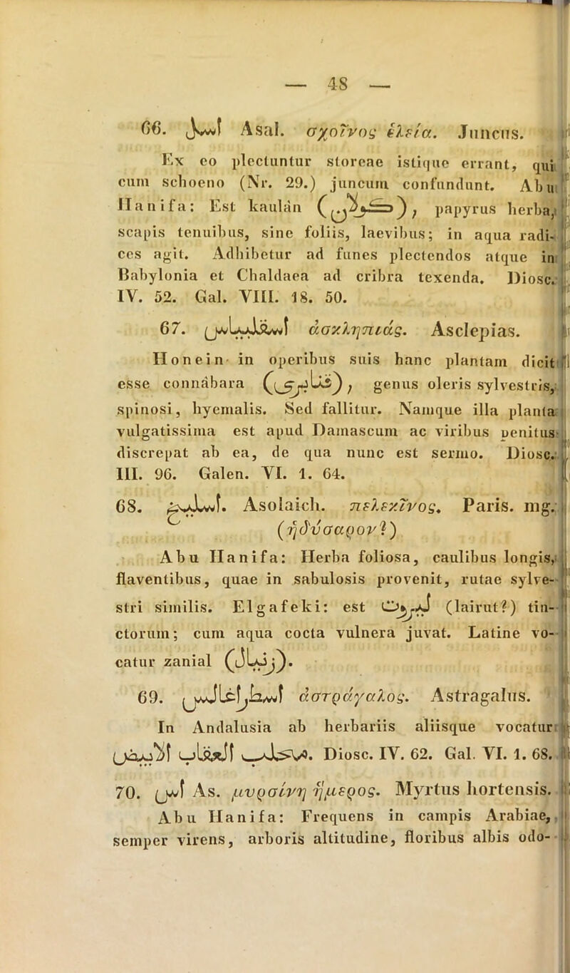 ,3^1 Asal. ayoTvog iXfta. Juncus. Ex eo flectuntur storeae istique errant, qui cum schoeno (Nr. 29.) juncum confundunt. Abu Hanifa: E st kaulan papyrus herba, ' scapis tenuibus, sine foliis, laevibus; in aqua radi- ces agit. Adbibetur ad funes plectendos atque in llabylonia et Chaldaea ad cribra texenda. Diosc. IV. 52. Gal. VIII. IS. 50. 67. day.Xrj7uag. Asclepias. Ilonein in operibus suis hanc plantam dicit esse connabara genus oleris sylvestris, spinosi, hyemalis. Sed fallitur. Namque illa planta vulgatissima est apud Damascum ac viribus penitus discrepat ab ea, de qua nunc est sermo. Dioscv [ 111. 96. Galen. VI. 1. 64. 68. Asolaich. nsXsxtros. Paris, mg. C (rjdvoayori) Abu Ilanifa: Herba foliosa, caulibus longis, ylve- 1 flaventibus, quae in sabulosis provenit, rutae syl stri similis. Elgafeki: est (lairutf) tin- ctorum; cum aqua cocta vulnera juvat. Latine vo- catur zanial 69. doTQayalog. Astragalus. »■: In Andalusia ab herbariis aliisque vocatur i (jajaM Diosc. IV. 62. Gal. VI. 1. 68. i! i 70. (_wf As. /uv^alrrj rj/usQog. Myrtus hortensis. : Abu Hanifa: Frequens in campis Arabiae, semper virens, arboris altitudine, floribus albis odo-