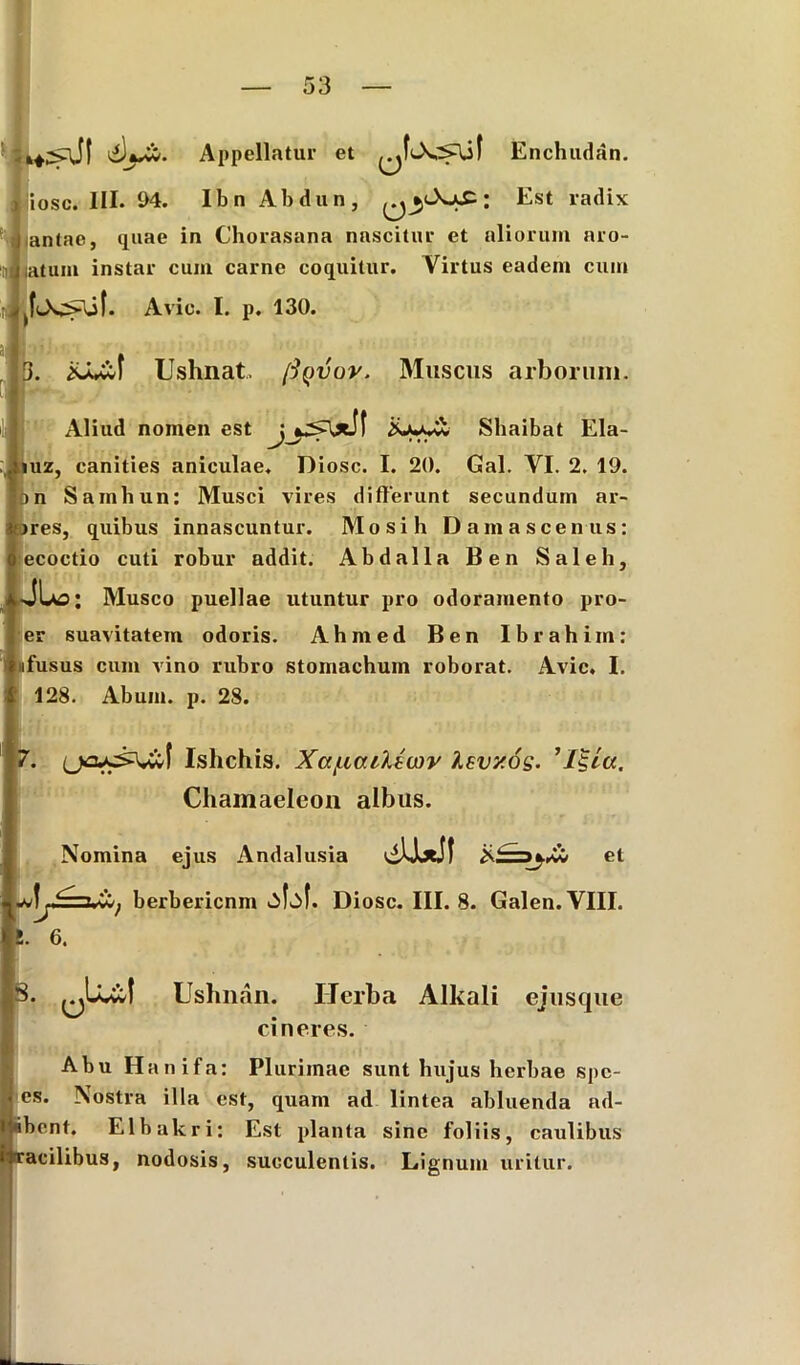 Appellatur et Enchudan. iosc. III. 04. Ibn Abdun, ; Est radix antae, quae in Chorasana nascitur et aliorum aro- jiatum instar cum carne coquitur. Virtus eadem cum Avie. I. p. 130. 3. iCUwl Ushnat, (Sqvov. Muscus arborum. Aliud nomen est t iuz, canities aniculae. Shaibat Ela- Diosc. I. 20. Gal. VI. 2. 19. n Samhun: Musci vires differunt secundum ar- res, quibus innascuntur. Mosih Damascenus: ecoctio cuti robur addit. Abdalla Ben Saleh, -JLo; Musco puellae utuntur pro odoramento pro- er suavitatem odoris. Ahmed Ben Ibrahim: «fusus cum vino rubro stomachum roborat. Avie. I. 128. Abum. p. 28. 7. (ja^^vwf Ishchis. Xaf-iv.LliiQV Isv/.os- ’/£/«. Chamaeleon albus. Nomina ejus Andalusia et >erbericnm tilof. Diosc. III. 8. Galen.VIII. I. 6. 3. aLu;! Ushnan. IJerba Alkali ejusque cineres. Abu Hanifa: Plurimae sunt hujus herbae spe- cs. Nostra illa est, quam ad lintea abluenda ad- ibent. Elbakri: Est planta sine foliis, caulibus racilibus, nodosis, succulentis. Lignum uritur.