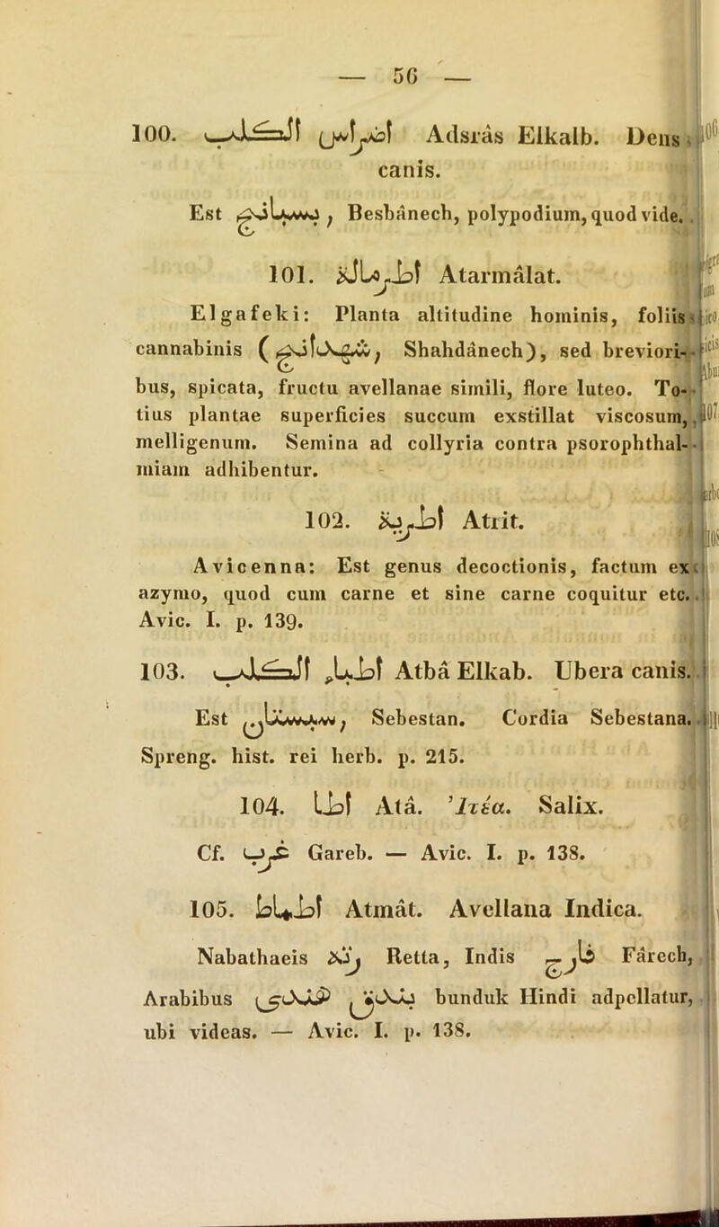 50 100. ^l£=2jf Adsras Elkalb. Dens canis. Est ^oIa*v»j j Besbanech, polypodium, quod vide. 101. Atarmalat. EI ga fele i: Planta altitudine hominis, foliis cannabinis Shahdanech), sed breviori- ^ Itai bus, spicata, fructu avellanae simili, flore luteo. To- tius plantae superficies succum exstillat viscosum, ,P' melligenum. Semina ad collyria contra psorophthal- miam adhibentur. 102. I Ati it. Avicenna: Est genus decoctionis, factum ex azymo, quod cum carne et sine carne coquitur etc. Avie. I. p. 139. 103. < .List AtbaElkab. Ubera canis. • ^ • Est Sebestan. Cordia Sebestana. Spreng. hist. rei lierb. p. 215. 104. Lbf Ala. Icta. Salix. Cf. Gareb. — Avie. I. p. 138. 105. LL-bl Atmat. Avellaiia Indica. Nabathaeis Relta, Indis Farech, Arabibus bunduk Hindi adpcllatur,