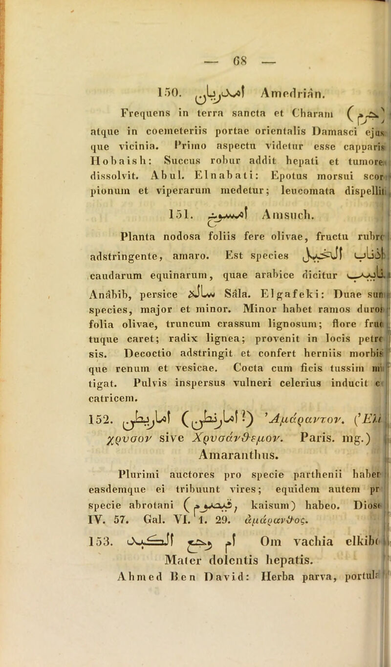 150. Amedrian. Frequens in terra sancta et Charam (i atque in coemeteriis portae orientalis Damasci ejus que vicinia. Primo nspectu videtur esse capparis II oh a is h: Succus robur addit hepati et tumore dissolvit. Abul. Elnabati: Epotus morsui scor pionum et viperarum medetur; leucomata dispellit 151. ,^wvof Amsuch. Planta nodosa foliis fere olivae, fructu rubre adstringenle, amaro. Est species LjliiSk caudarum equinarum, quae arabice dicitur Anabib, persice Sala. Elgafeki: Duae sun • species, major et minor. Minor habet ramos duror folia olivae, truncum crassum lignosum; flore fru< tuque caret; radix lignea; provenit in locis petre sis. Decoctio adstringit et confert herniis morbis que renum et vesicae. Cocta cum ficis tussim m tigat. Pulvis inspersus vulneri celerius inducit c catricem. 152. 'Af.iv.QavT.ov. (’Eh XQvoor sive XQVodv&tfiov. Paris, mg.) Amarantlius. Plurimi auctores pro specie parthenii haber easdemque ei tribuunt vires; equidem autem pr specie abrotani ( kaisum) habeo. Dios< IY. 57. Gal. YI. 1. 29. u(.id(jav^og. 153. Jyi=xJf |»l Om vachia elkibt Mater dolentis hepatis. Abmed lien David: Herba parva, portuk *