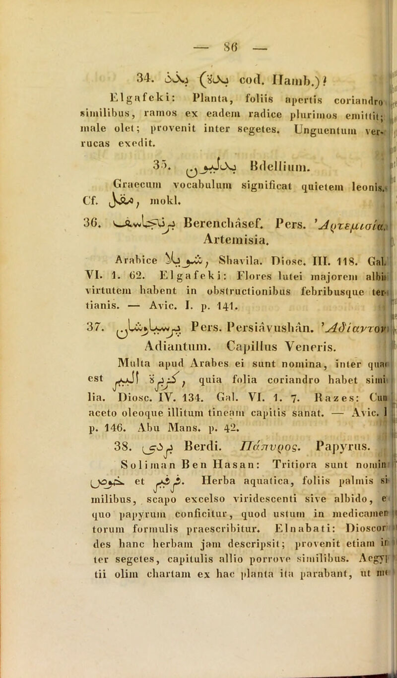 8« 34. tXXj (s^Xj cod, IJamb.)? Elgnfcki: Planta, foliis apertis coriandro similibus, ramos ex eadem radice plurimos emittit; male olet; provenit inter segetes. Unguentum ver- rucas exedit. 35. Bdellium. Graecum vocabulum significat quietem leonis. Cf. mokl. 3G. Berencliasef. Pcrs. 'J^rejuiala. Artemisia. Arabice jki; Shavila. Diosc. III. 118. Gal. VI. 1. 62. Elgafeki: Flores lutei majorem albii virtutem habent in obstructionibus febribusque ter- tianis. — Avie. I. p. 141. 37. Pers. Persiavuslmn. ’Adiavrov Ad i antum. Capillus Veneris. Multa apud Arabes ei sunt nomina, inter quai est ^J| a; quia folia coriandro habet simi lia. Diosc. IV. 134. Gal. VI. 1. 7. It a z es: Cuu aceto oleoque illitum tineam capitis sanat. — Avie. 1 p. 146. Abu Mans. p. 42. 38. (^5^ Berdi. ndjTVQog. Papyrus. ^ Soliman Ben Hasan: Tritiora sunt nomin et ji. Herba aquatica, foliis palmis si milibus, scapo excelso viridescenti sive albido, c quo papyrum conficitur, quod ustum in medicamen N torum formulis praescribitur. Elnabati: Dioscor ! des hanc herbam jam descripsit; provenit etiam ir ter segetes, capitulis allio porrove similibus. Acgyi ’ tii olim chartam ex hac planta ita parabant, ut nt<