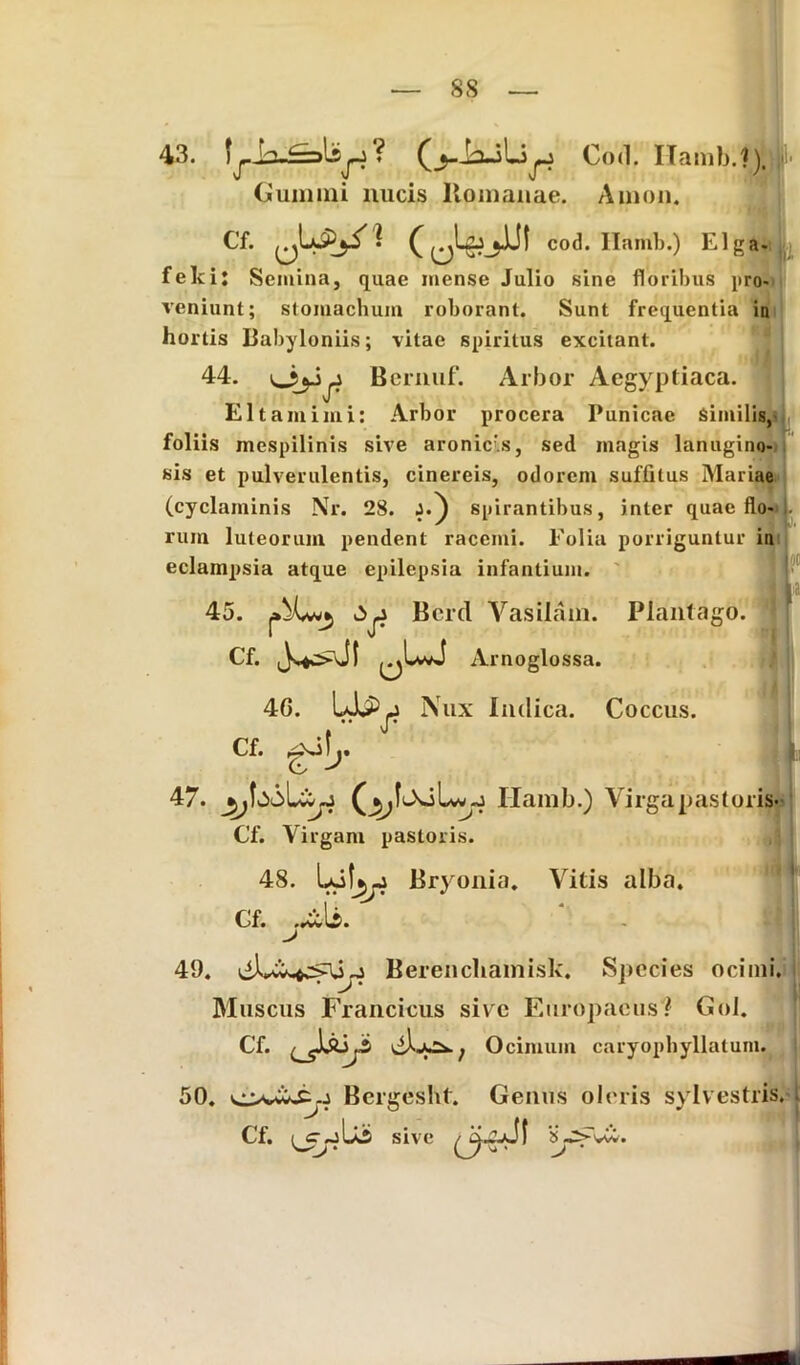 ss 43. Cod. Ilamb.?).|®' Gumini nucis Itomanae. Amon. Cf. 0Ls>y^ cod. Ilamb.) Elga- felcij Semina, quae mense Julio sine floribus pro- veniunt; stomachum roborant. Sunt frequentia in hortis Babyloniis; vitae spiritus excitant. 44. Ojjji Bernuf. Arbor Aegyptiaca. EI tam imi: Arbor procera Punicae Similis, foliis mespilinis sive aronic\s, sed magis lanugino- sis et pulverulentis, cinereis, odorem suffitus Mariae (cyclaminis Nr. 28. J.) spirantibus, inter quae flo- rum luteorum pendent racemi. Folia porriguntur in eclampsia atque epilepsia infantium. « I 45. Bcrd Vasilain. Plantago. Cf. ^LwJ Arnoglossa. 4G. Idpjj Nux Indica. Coccus. Cf. .. i 47. Ilamb.) Virga pastoris- Cf. Virgam pastoris. 48. LoIjjj Bryonia. Vitis alba. cf. ,^U. y 49. Berencliamisk. Species ocimi. Muscus Francicus sive Europaeus? Gol. Cf. <J&j* Ocimum caryopbyllatum. 50. Bcrgesht. Genus oleris sylvestris. L Cf. sive HpfVw.