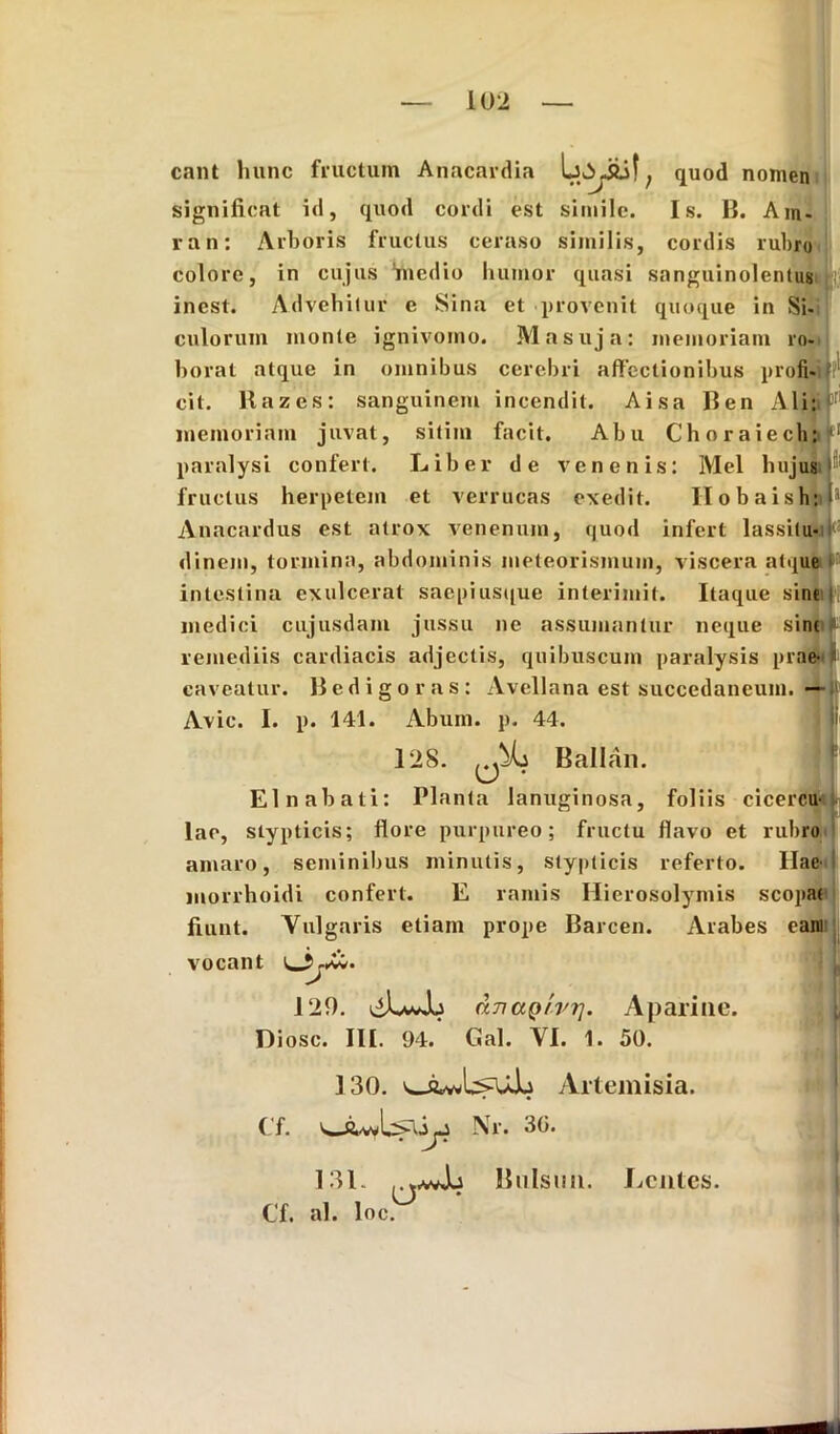 eant lmnc fructum Anacardia ; quod nomen significat id, quod cordi est simile. Is. II. Am- ran: Arboris fructus ceraso similis, cordis rubro colore, in cujus 'medio humor quasi sanguinolentus inest. Advehitur e Sina et provenit quoque in Si- culorum monte ignivomo. Mnsuja: memoriam ro- borat atque in omnibus cerebri affectionibus proli- M cit. Itazes: sanguinem incendit. Aisa Ben Ali: F memoriam juvat, sitim facit. Abu Choraiech:?1 paralysi confert. Liber de venenis: IVIel hujus fructus herpetem et verrucas exedit. Ilobaish:!1 Anacardus est atrox venenum, quod infert lassitu- dinem, tormina, abdominis meteorismum, viscera atque intestina exulcerat saepiusque interimit. Itaque sine ; medici cujusdam jussu ne assumantur neque sine remediis cardiacis adjectis, quibuscum paralysis prae- caveatur. liedigoras: Avellana est succedaneum. — Avie. I. p. 141. Abum. p. 44. |i 128. Ballan. Elnabati: Planta lanuginosa, foliis cicercu- lae, stypticis; flore purpureo; fructu flavo et rubro amaro, seminibus minutis, stypticis referto. Hae- inorrhoidi confert. E ramis Hierosolymis scopae fiunt. Vulgaris etiam prope Barcen. Arabes eant vocant 129. liLwJb dnaQrrrj. Aparine. Diosc. III. 94. Gal. VI. 1. 50. 130. Artemisia. Cf. Nr. 30. 131. Biilsim. Lentes. Cf. al. loc.