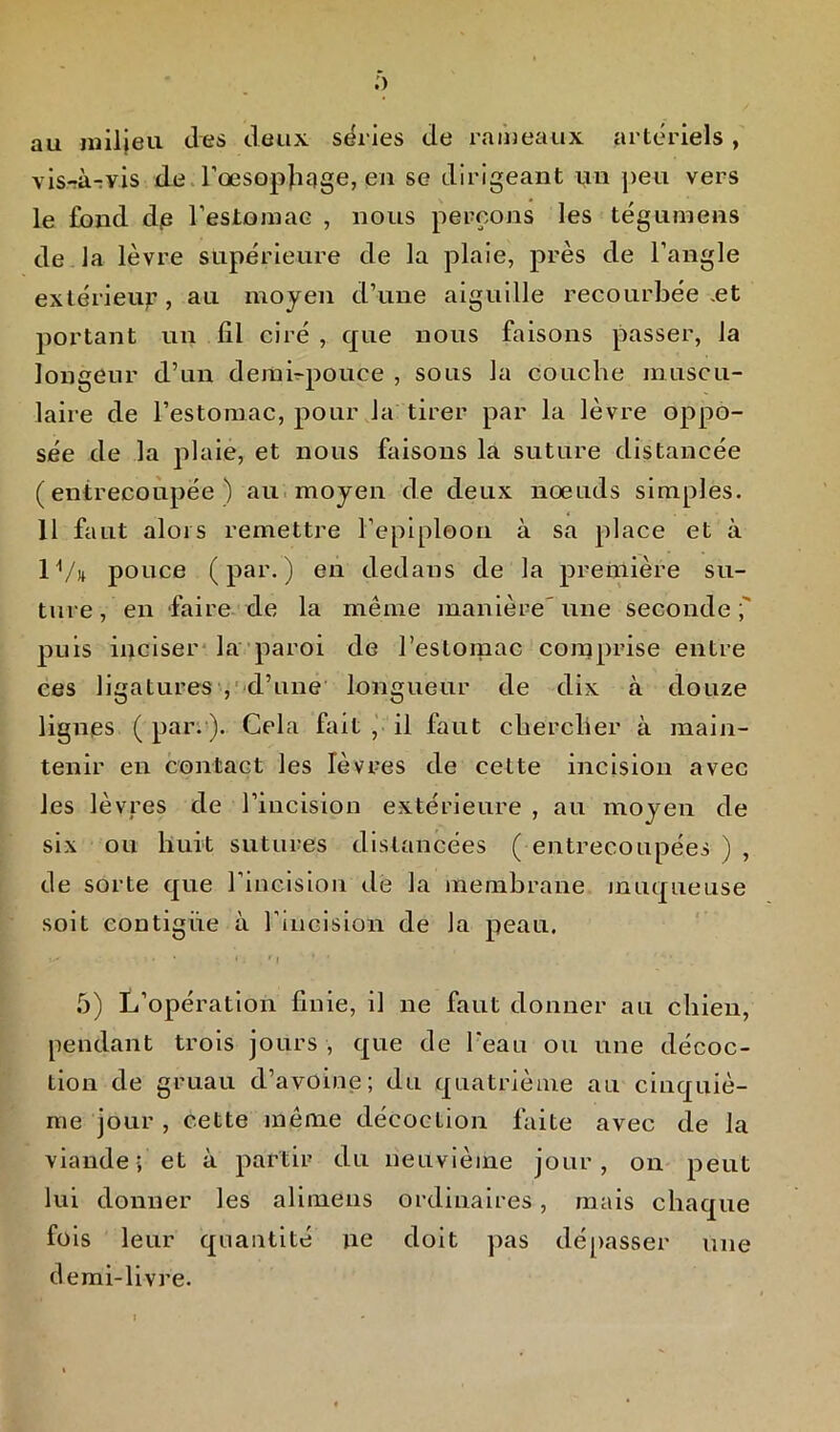 ;> au milieu des deux séries de rameaux artériels , vis-àrvis de l'oesophage, en se dirigeant un peu vers le fond d,e l'estomac , nous perçons les tégumens de la lèvre supérieure de la plaie, près de l’angle extérieur , au moyen d’une aiguille recourbée .et portant un fil ciré , que nous faisons passer, la longeur d’un demi-pouce , sous la couche muscu- laire de l’estomac, pour la tirer par la lèvre oppo- sée de la plaie, et nous faisons la suture distancée (entrecoupée) au moyen de deux noeuds simples. 11 faut alors remettre l’epipleon à sa place et à 1 Vu pouce (par.) en dedans de la première su- ture, en faire de la même manière une seconde;' puis inciser la paroi de l’estomac comprise entre ces ligatures , d’une longueur de dix à douze lignes ( par. ). Cela fait , il faut chercher à main- tenir en contact les lèvres de celte incision avec les lèvres de l’incision extérieure , au moyen de six ou huit sutures distancées ( entrecoupées ) , de sorte que l’incision de la membrane muqueuse soit contiguë à l’incision de la peau. > . • « ; r | * • 5) L’opération finie, il ne faut donner au chien, pendant trois jours , que de l'eau ou une décoc- tion de gruau d’avoine; du quatrième au cinquiè- me jour , cette même décoction faite avec de la viande; et à partir du neuvième jour, on peut lui donner les alimens ordinaires, mais chaque fois leur quantité ne doit pas dépasser une demi-livre.