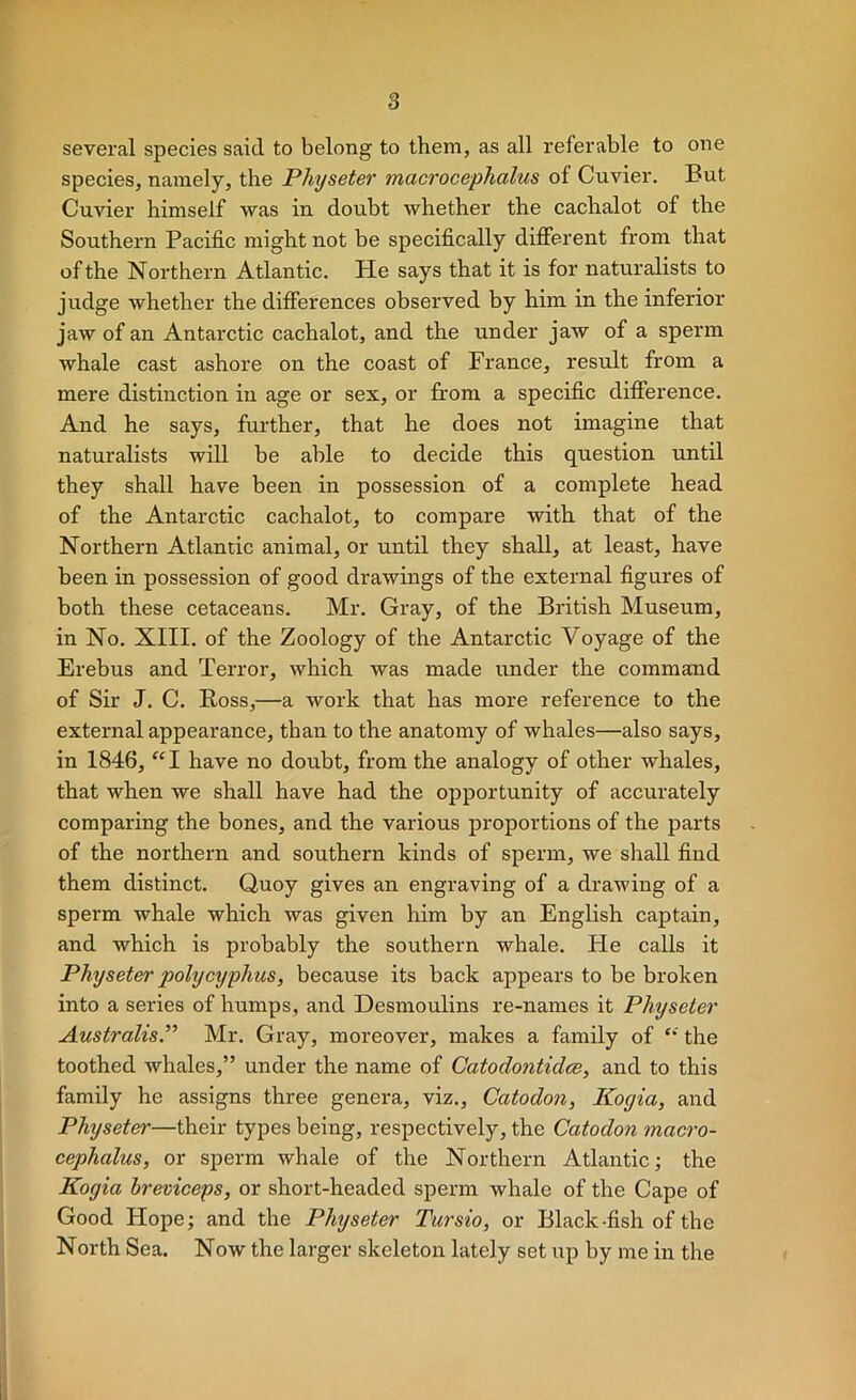 several species said to belong to them, as all referable to one species, namely, the Physeter macrocephalus of Cuvier. But Cuvier himself was in doubt whether the cachalot of the Southern Pacific might not be specifically different from that of the Northern Atlantic. He says that it is for naturalists to judge whether the differences observed by him in the inferior jaw of an Antarctic cachalot, and the under jaw of a sperm whale cast ashore on the coast of France, result from a mere distinction in age or sex, or from a specific difference. And he says, further, that he does not imagine that naturalists will be able to decide this question until they shall have been in possession of a complete head of the Antarctic cachalot, to compare with that of the Northern Atlantic animal, or until they shall, at least, have been in possession of good drawings of the external figures of both these cetaceans. Mr. Gray, of the British Museum, in No. XIII. of the Zoology of the Antarctic Voyage of the Erebus and Terror, which was made under the command of Sir J. C. Ross,—a work that has more reference to the external appearance, than to the anatomy of whales—also says, in 1846, have no doubt, from the analogy of other whales, that when we shall have had the opportunity of accurately comparing the bones, and the various proportions of the parts of the northern and southern kinds of sperm, we shall find them distinct. Quoy gives an engraving of a drawing of a sperm whale which was given him by an English captain, and which is probably the southern whale. He calls it Physeter polycyphus, because its back appears to be broken into a series of humps, and Desmoulins re-names it Physeter Australis.” Mr. Gray, moreover, makes a family of the toothed whales,” under the name of Catodontidce, and to this family he assigns three genera, viz., Catodon, Kogia, and Physeter—their types being, respectively, the Catodon macro- cephalus, or sperm whale of the Northern Atlantic; the Kogia hreviceps, or short-headed sperm whale of the Cape of Good Hope; and the Physeter Tursio, or Black-fish of the North Sea. Now the larger skeleton lately set up by me in the