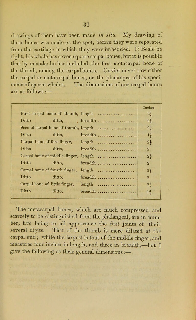 drawings of them have been made in situ. My drawing of these bones was made on the spot, before they were separated from the cartilage in which they were imbedded. If Beale be right, his whale has seven square carpal bones, but it is possible that by mistake he has included the first metacarpal bone of the thumb, among the carpal bones. Cuvier never saw either the carpal or metacarpal bones, or the phalanges of his speci- mens of sperm whales. The dimensions of our carpal bones are as follows :— First carpal bone of thumb, length Inches 2| Ditto ditto, ^ breadth 0| Second carpal bone of thumb, length Ditto ditto, breadth 1-^ Carpal bone of fore finger, length 2^ Ditto ditto, breadth 2 Carpal bone of middle finger, length 2| Ditto ditto, breadth 2 Carpal bone of fourth finger, length 21 Ditto ditto, breadth 2 Carpal bone of little finger. length 21 Ditto ditto, breadth The metacarpal bones, which are much compressed, and scarcely to be distinguished from the phalangeal, are in num- ber, five being to all appearance the first joints of their several digits. That of the thumb is more dilated at the carpal end; while the largest is that of the middle finger, and measures four inches in length, and three in breadth,—but I give the following as their general dimensions:—