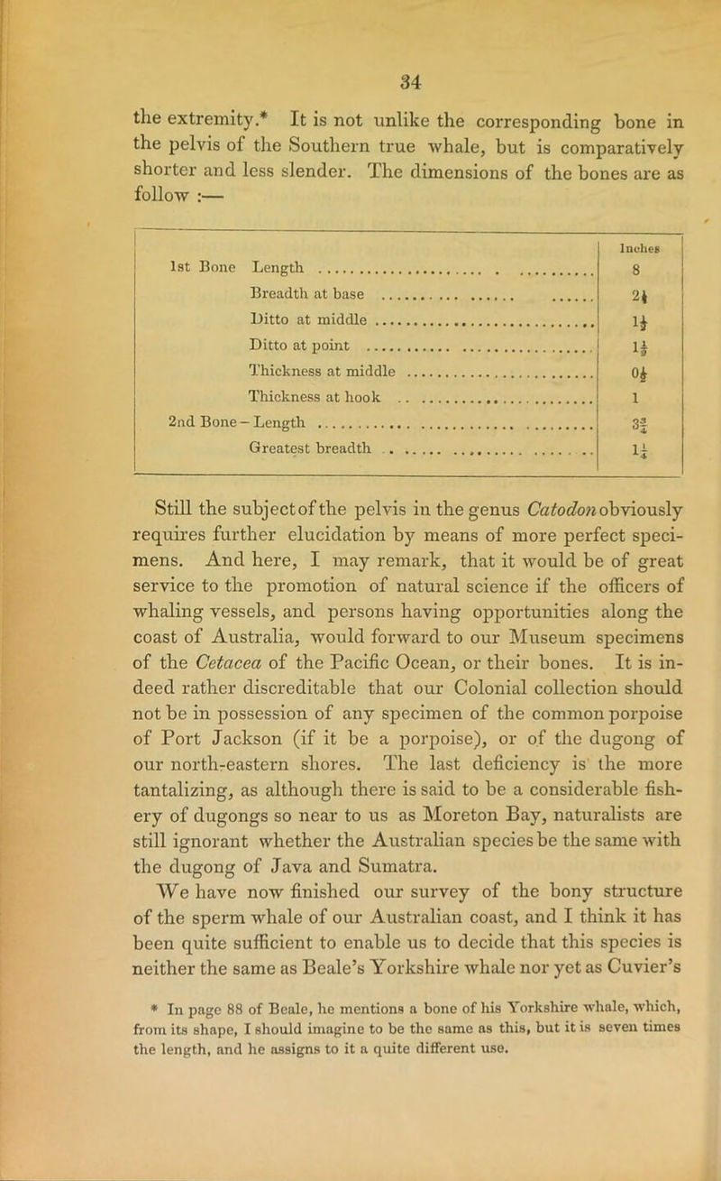 the extremity.* It is not unlike the corresponding bone in the pelvis of the Southern true whale, but is comparatively shorter and less slender. The dimensions of the bones are as follow :— 1st Bone Length Inches 8 Breadth at base 2i Ditto at middle Ditto at point li Thickness at middle 0^ Thickness at hook 1 2nd Bone - Length 3f Greatest breadth U Still the subject of the pelvis in the genus obviously requires further elucidation by means of more perfect speci- mens. And here, I may remark, that it would be of great service to the promotion of natural science if the officers of whaling vessels, and persons having opportunities along the coast of Australia, would forward to our Museum specimens of the Cetacea of the Pacific Ocean, or their bones. It is in- deed rather discreditable that our Colonial collection should not be in possession of any specimen of the common porpoise of Port Jackson (if it be a porpoise), or of the dugong of our northreastern shores. The last deficiency is the more tantalizing, as although there is said to be a considerable fish- ery of dugongs so near to us as Moreton Bay, naturalists are still ignorant whether the Australian species be the same with the dugong of Java and Sumatra. We have now finished our survey of the bony structure of the sperm whale of our Australian coast, and I think it has been quite sufficient to enable us to decide that this species is neither the same as Beale’s Yorkshire whale nor yet as Cuvier’s • In page 88 of Beale, lie mentions a bone of liis Yorkshire whale, which, from its shape, I should imagine to be the same as this, but it is seven times the length, and he assigns to it a quite different use.