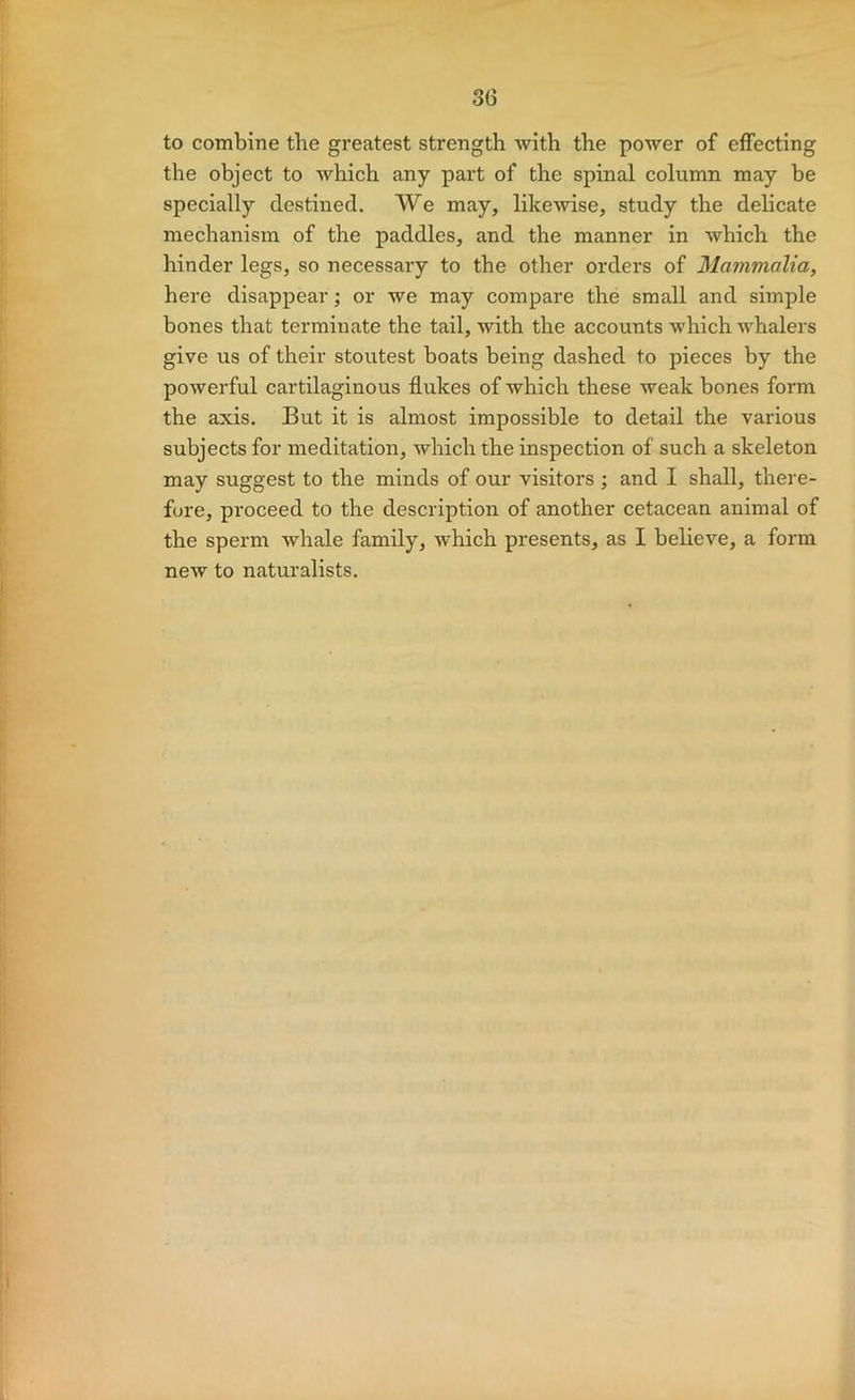 to combine the greatest strength with the power of effecting the object to which any part of the spinal column may be specially destined. We may, likewise, study the delicate mechanism of the paddles, and the manner in which the hinder legs, so necessary to the other orders of Mammalia, here disappear; or we may compare the small and simple bones that terminate the tail, with the accounts which whalers give us of their stoutest boats being dashed to pieces by the powerful cartilaginous flukes of which these weak bones form the axis. But it is almost impossible to detail the various subjects for meditation, which the inspection of such a skeleton may suggest to the minds of our visitors ; and I shall, there- fore, proceed to the description of another cetacean animal of the sperm whale family, which presents, as I believe, a form new to naturalists.