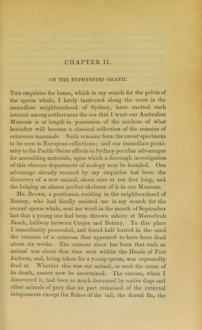 CHAPTER II. ON THE EUPHYSETES GEAYII. The enquiries for bones, which in my search for the pelvis of the sperm whale, I lately instituted along the coast in the immediate neighbourhood of Sydney, have excited such interest among settlers near the sea that I trust our Australian Museum is at length in possession of the nucleus of what hereafter will become a classical collection of the remains of cetaceous mammals. Such remains form the rarest specimens to be seen in European collections; and our immediate proxi- mity to the Pacific Ocean affords to Sydney peculiar advantages for assembling materials, upon which a thorough investigation of this obscure department of zoology may be founded. One advantage already secured by my enquiries has' been the discovery of a new animal, about nine or ten feet long, and the lodging an almost perfect skeleton of it in our Museum. Mr. Brown, a gentleman residing in the neighbourhood of Botany, who had kindly assisted me in my search for the second sperm whale, sent me word in the month of September last that a young one had been thrown ashore at Maroobrah Beach, halfway between Coojee and Botany. To this place I immediately proceeded, and found half buried in the sand the remains of a cetacean that appeared to have been dead about six weeks. The rumour since has been that such an animal was about that time seen within the Heads of Port Jackson, and, being taken for a young sperm, was repeatedly fired at. Whether this was our animal, or such the cause of its death, cannot now be ascertained. The carcass, when I discovered it, had been so much devoured by native dogs and other animals of prey that no part remained of the external integuments except the flukes of the tail, the dorsal fin, the