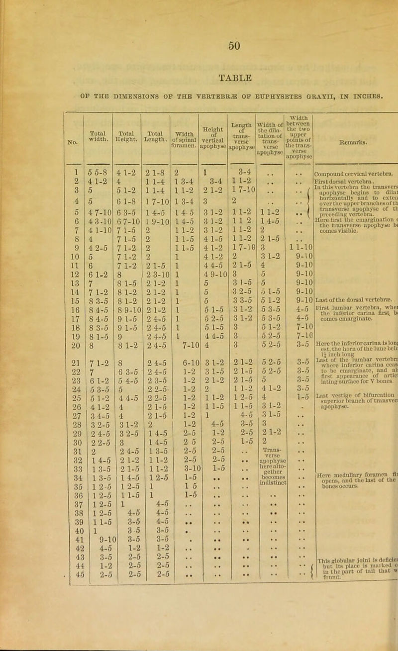 TABLE OP THE DIMEXSIOHS OF THE VEETEBU^ OP EUPHYSETES GRAYII, IN INCHES, Width Lcn^tli trans- wridth of between No. Total width. Total Height. Total Length. Width of spinal Height of verticiU the dila- tation of trons- the two upper pomtsof llcmnrks. foramen. upoobyse upophyse verse the trans- ipophysc verse apophysc 1 5 5-8 4 1-2 2 1-8 2 1 3-4 • • Compound cervical vertebra. 2 4 1-2 4 1 1-4 1 3-4 3-4 1 1-2 Firstdoreal vertebra. 3 5 5 1-2 1 1-4 1 1-2 2 1-2 1 7-10 , •• ( In this vertebra the tninsvcrs upouhyse begins to diiut horissontally and to exten over the upper branches of ll 4 5 6 1-8 1 7-10 1 3-4 3 2 . •• 5 4 7-10 6 3-5 1 4-5 1 4 5 3 1-2 1 1-2 1 1-2 •• ( transverse apophysc of tl preceding vcrU‘bra. 6 43-10 6 7-10 1 9-10 1 4-5 3 1-2 1 1 2 1 4-5 Here first the cmargination < the ti-ansvcrae apophysc b< 7 4 1-10 7 1-5 2 1 1-2 3 1-2 1 1-2 2 .. comes visible. 8 4 7 1-5 2 1 1-5 4 1-5 1 1-2 2 1-5 ,, 9 4 2-5 7 1-2 2 1 1-5 4 1-2 1 7-10 3 1 1-10 10 5 7 1-2 2 1 4 1-2 2 3 1-2 9-10 11 6 7 1-2 2 1-5 1 4 4-6 2 1-5 4 9-10 12 6 1-2 8 2 3-10 1 49-10 3 5 9-10 13 7 8 1-5 2 1-2 1 5 3 1-5 5 9-10 14 7 1-2 8 1-2 2 1-2 1 5 3 2-5 5 1-5 9-10 15 8 3-5 8 1-2 2 1-2 1 5 3 3-5 6 1-2 9-10 Last of the dorsal vertebrm. 16 8 4-5 8 9-10 2 1-2 1 5 1-6 3 1-2 5 3-5 4-5 First lumlKir vertebra, whci 17 8 4-5 9 1-5 2 4-5 ] 5 2-5 3 1-2 5 3-5 4-5 comes cmargiiiatc. 18 8 3-5 9 1-6 2 4-5 1 6 1-5 3 5 1-2 7-10 19 8 1-5 9 2 4-5 1 4 4-5 3 5 2-5 7-10 20 8 8 1-2 2 4-5 7-10 4 3 5 2-5 3-5 Here the inferiorcarinn is Ion est. the horn of the luucbclL 21 7 1-2 8 2 4-5 6-10 3 1-2 2 1-2 5 2-5 3-5 inch lung Last of the lumbar vertebrt whore inferior carina ecus' 22 23 7 6 1-2 6 3-5 5 4-5 2 4-5 2 3-5 1-2 1-2 3 1-5 2 1-2 2 1-5 2 1-5 5 2-5 5 3-5 3-5 to be cmai^natc, and uli first appearance of artic lating surface for V bones. 24 5 3-5 5 2 2-5 1-2 2 1 1-2 4 1-2 3-5 25 5 1-2 4 4-5 2 2-5 1-2 1 1-2 1 2-5 4 1.-5 Last vestige of bifurcation superior branch of iransvcr 26 41-2 4 2 1-5 1-2 1 1-5 1 1-5 3 1-2 - apophysc. 27 3 4-0 4 2 1-6 1-2 1 4-5 3 1-5 . . 28 3 2-5 3 1-2 2 1-2 4-5 3-5 3 . . 29 2 4-5 3 2-5 14-5 2-5 1-2 2-5 2 1-2 . . 30 2 2-5 3 1 4-5 2 5 2-5 1-6 2 . < 31 2 2 4-5 1 3-5 2-5 j 2-5 Trans- . . 32 1 4-6 2 1-2 1 1-2 2-6 2-5 • • verse apophysc . • 33 1 3-5 2 1-6 1 1-2 3-10 1-5 • • here alto- getlicr becomes indistinct . . Here medullary foramen fli opens, and the last of the bones occurs. 34 35 1 3-5 1 2-6 1 4-5 1 2-5 1 2-5 1 1-6 1 5 • • • • • * 36 1 2-5 1 1-5 1 1-5 . • 37 1 2-5 1 4-5 . • • • • 38 1 2-6 4-5 4-6 • • • • • 39 1 1-6 3-5 4-5 • • • • . . 40 1 3 5 3-6 • • . . 41 9-lC 3-5 3-6 • • • • • 42 4-0 1-2 1-2 • • • • • 43 3-5 2-5 2-5 • • • • This Rlolmlar Joint Is di'flcloi 44 1-2 2-5 2-5 • • • • ■ ( but its pl.vce is marked o 45 2-5 2-5 2-6 • • 1 lnthci>art of tall tliat w found.