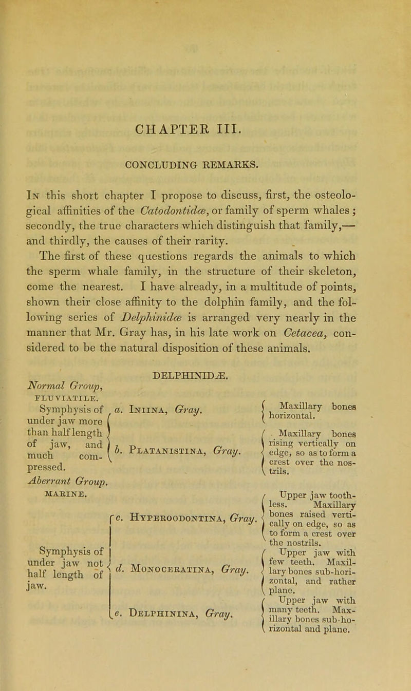 CHAPTER III. CONCLUDING REMAEKS. In this short chapter I propose to discuss, first, the osteolo- gical affinities of the Catodontidce, or family of sperm whales ; secondly, the true characters which distinguish that family,— and thirdly, the causes of their rarity. The first of these questions regards the animals to which the sperm whale family, in the structure of their skeleton, come the nearest. I have already, in a multitude of points, shown their close affinity to the dolphin family, and the fol- lowing series of Delphinidce is arranged very nearly in the manner that Mr. Gray has, in his late work on Cetacea, con- sidered to be the natural disposition of these animals. Normal Group, FLTJVIATILE. Symphysis of a. under jaw more f than half length | of jaw, and 1 ^ much com- \ ’ pressed. Aberrant Group. MAB.INE. DELPHINID^. Iniina, Gray. Plaianistina, Gray. 'c. Htpeeoodontina, Gray. Symphysis of under jaw not < half length of jaw. d. Monoceeatina, Gray. e. Delphinina, Gray. j Maxillary bones ) horizontal. / Maxillary bones I rising vertically on < edge, so as to form a f crest over the nos- \ trils. / Upper jaw tooth- ( less. Maxillary ; bones raised verti- j cally on edge, so as f to form a crest over ' the nostrils. t Upper jaw with 1 few teeth. Maxil- J laiy bones sub-hori- l zontal, and rather \ plane. {Upper jaw with many teeth. Max- illary bones sub-ho- rizontal and plane.