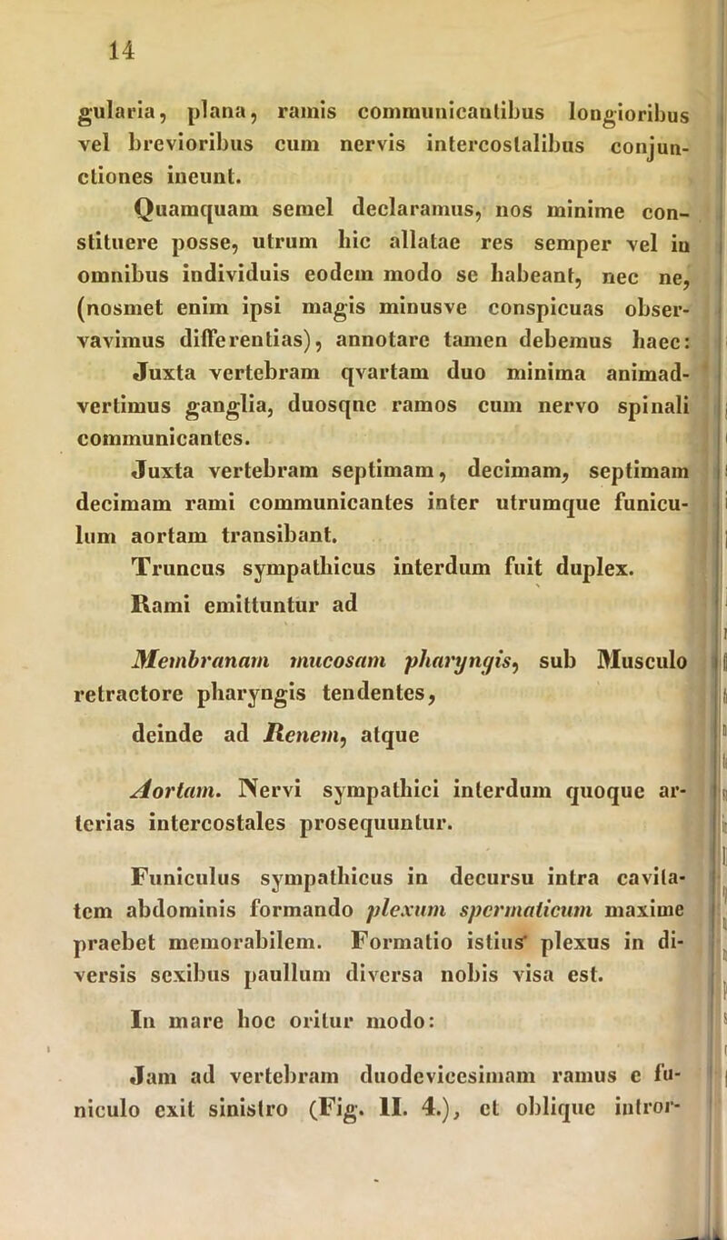 gularia, plana, ramis communicantibus lougioribus vel brevioribus cum nervis intercostalibus conjun- ctiones ineunt. Quamquam semel declaramus, nos minime con- stituere posse, utrum hic allatae res semper vel iu omnibus individuis eodem modo se habeant, nec ne, (nosmet enim ipsi magis minusve conspicuas obser- vavimus differentias), annotare tamen debemus haec: Juxta vertebram qvartam duo minima animad- vertimus ganglia, duosqne ramos cum nervo spinali communicantes. Juxta vertebram septimam, decimam, septimam decimam rami communicantes inter utrumque funicu- lum aortam transibant. Truncus sympathicus interdum fuit duplex. Rami emittuntur ad Membranam mucosam pharyngis, sub Musculo retractore pharyngis tendentes, deinde ad Renem, atque Aortam. Nervi sympathici interdum quoque ar- terias intercostales prosequuntur. Funiculus sympathicus in decursu intra cavita- tem abdominis formando plexum spermaticum maxime praebet memorabilem. Formatio istius plexus in di- versis sexibus paullum diversa nobis visa est. In mare hoc oritur modo: Jam ad vertebram duodevicesimam ramus c fu- niculo exit sinistro (Fig. II. 4.), ct oblique intror-