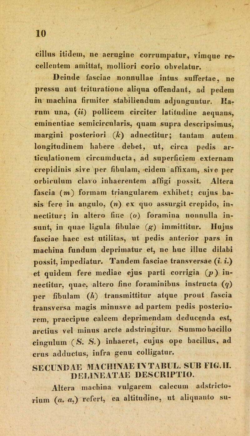 / cillus itidem, ne aerugine corrumpatur, viinque re- cellentem amittat, molliori corio obvelator. Deinde fasciae nonnullae intus suffertae, ne pressu aut trituratione aliqua offendant, sd pedem in machina firmiter stabiliendum adjunguntur. Ha- rum una, (ii) pollicem circiter latitudine aequans, eminentiae semicircularis, quam supra descripsimus', margini posteriori (A;) adnectitur; tantam autem longitudinem habere debet, ut, circa pedis ar- ticulationem circumducta, ad superficiem externam crepidinis sive per fibulam, /eidem affixam, sive per orbiculum clavo inhaerentem affigi possit. Altera fascia (m) formam triangularem exhibet; cujus ba- sis fere in angulo, (ii) ex quo assurgit crepido, in- nectitur; in altero fine (o) foramina nonnulla in- sunt, in quae ligula fibulae (g) immittitur. Hujus fasciae haec est utilitas, ut pedis anterior pars in machina fundum deprimatur et, ne huc illuc dilabi po.ssit, impediatur. Tandem fasciae transversae (i. i.) et quidem fere mediae ejus parti corrigia (p) in- nectitur, quae, altero fine foraminibus instructa (q) per fibulam (4) transmittitur atque prout fascia transversa magis minusve ad partem pedis posterio- rem, praecipue calcem deprimendam deducenda est, arctius vel minus arcte adstringitur. Summo bacillo cingulum (S. S.) inhaeret, cujus ope bacillus, ad crus adductus, infra genu colligatur. SECUNDAE MACHINAE INTA15UL. SUB FIG.II. DEU.NEATAE DESCRIETIO. Altera maebina vulgarem calecum adstricto- rium (a. «,) refert, ea altitudine, ut aliquanto su-
