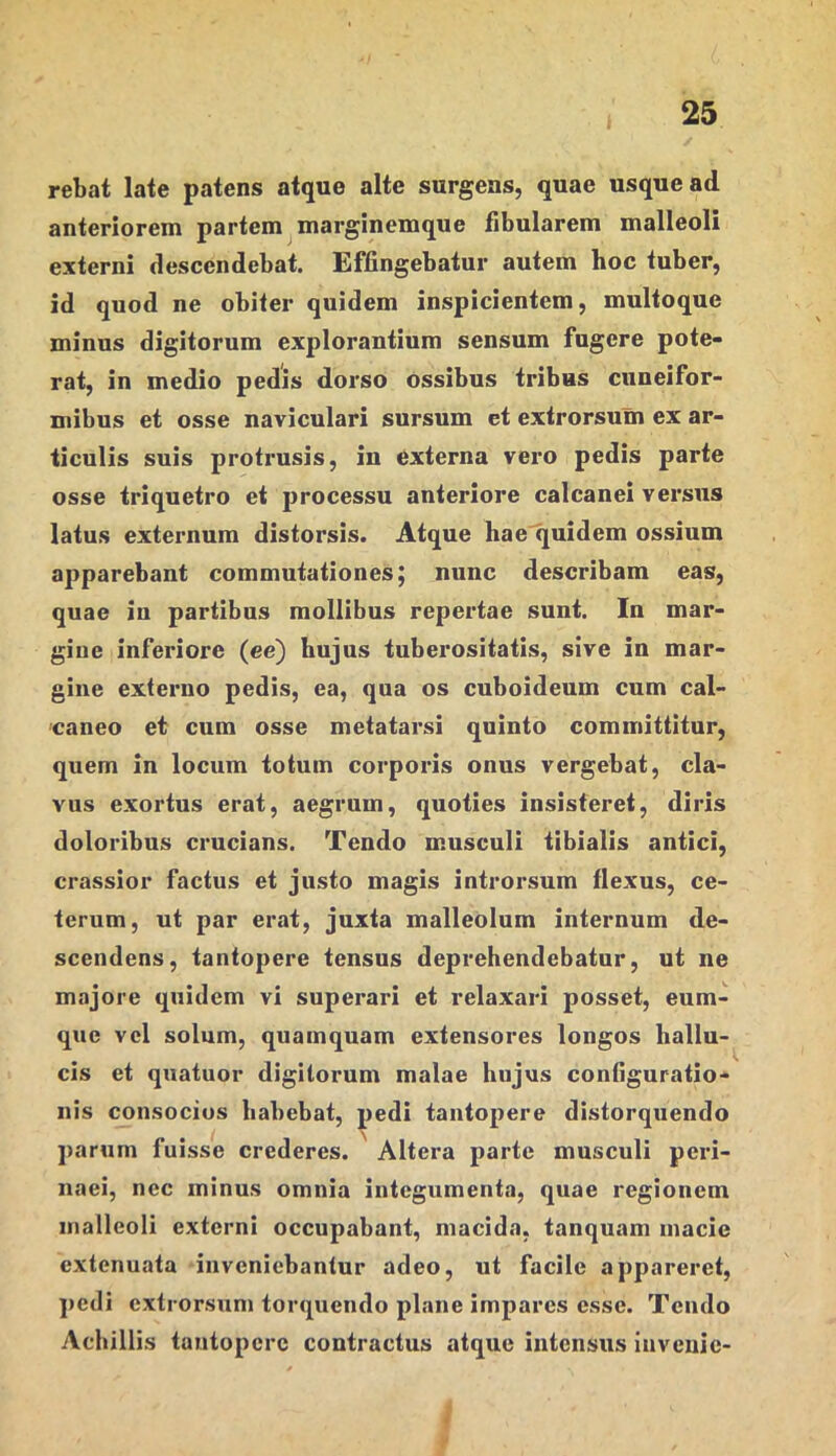rebat late patens atque alte surgens, quae usque ad anteriorem partem marginemque fibularem malleoli externi descendebat. Effingebatur autem hoc tuber, id quod ne obiter quidem inspicientem, multoque minus digitorum explorantium sensum fugere pote- rat, in medio pedis dorso ossibus tribus cuneifor- mibus et osse naviculari sursum et extrorsum ex ar- ticulis suis protrusis, in externa vero pedis parte osse triquetro et processu anteriore calcanei versus latus externum distorsis. Atque hae'quidem ossium apparebant commutationes; nunc describam eas, quae in partibus mollibus repertae sunt. In mar- gine inferiore (ce) hujus tuberositatis, sive in mar- gine externo pedis, ea, qua os cuboideum cum cal- caneo et cum osse metatarsi quinto committitur, quem in locum totum corporis onus vergebat, cla- vus exortus erat, aegrum, quoties insisteret, diris doloribus crucians. Tendo musculi tibialis antici, crassior factus et justo magis introrsum flexus, ce- terum, ut par erat, juxta malleolum internum de- scendens, tantopere tensus deprehendebatur, ut ne majore quidem vi superari et relaxari posset, cum- que vel solum, quamquam extensores longos hallu- cis et quatuor digitorum malae hujus configuratio- nis consocius habebat, pedi tantopere distorquendo parum fuisse crederes. ' Altera parte musculi peri- naei, nec minus omnia integumenta, quae regionem malleoli externi occupabant, macida, tanquam macie extenuata inveniebantur adeo, ut facile appareret, ])edi extrorsum torquendo plane impares esse. Tendo Achillis tantopere contractus atque intensus inveiiic-