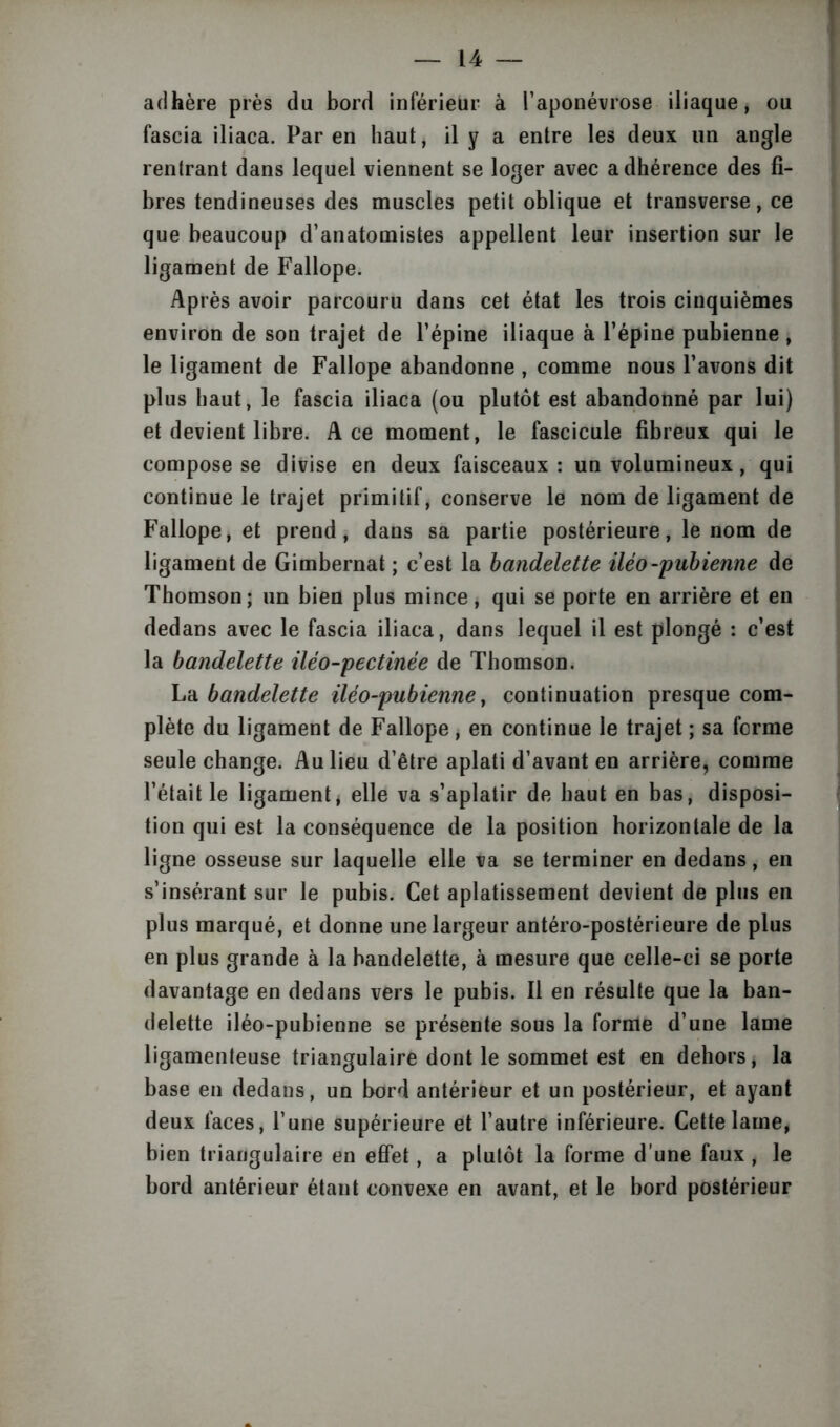 adhère près du bord inférieur à l’aponévrose iliaque, ou fascia iliaca. Par en haut, il y a entre les deux un angle rentrant dans lequel viennent se loger avec adhérence des fi- bres tendineuses des muscles petit oblique et transverse, ce que beaucoup d’anatomistes appellent leur insertion sur le ligament de Fallope. Après avoir parcouru dans cet état les trois cinquièmes environ de son trajet de l’épine iliaque à l’épine pubienne , le ligament de Fallope abandonne , comme nous l’avons dit plus haut, le fascia iliaca (ou plutôt est abandonné par lui) et devient libre. Ace moment, le fascicule fibreux qui le compose se divise en deux faisceaux: un volumineux, qui continue le trajet primitif, conserve le nom de ligament de Fallope, et prend, dans sa partie postérieure, le nom de ligament de Gimbernat ; c’est la bandelette iléo-pubienne de Thomson; un bien plus mince, qui se porte en arrière et en dedans avec le fascia iliaca, dans lequel il est plongé : c’est la bandelette iléo-pectinée de Thomson. La bandelette iléo-pubienne, continuation presque com- plète du ligament de Fallope, en continue le trajet ; sa ferme seule change. Au lieu d’être aplati d’avant en arrière, comme l’était le ligament, elle va s’aplatir de haut en bas, disposi- tion qui est la conséquence de la position horizontale de la ligne osseuse sur laquelle elle va se terminer en dedans, en s’insérant sur le pubis. Cet aplatissement devient de plus en plus marqué, et donne une largeur antéro-postérieure de plus en plus grande à la bandelette, à mesure que celle-ci se porte davantage en dedans vers le pubis. Il en résulte que la ban- delette iléo-pubienne se présente sous la forme d’une lame ligamenteuse triangulaire dont le sommet est en dehors, la base en dedans, un bord antérieur et un postérieur, et ayant deux faces, l’une supérieure et l’autre inférieure. Cette lame, bien triangulaire en effet, a plutôt la forme d’une faux , le bord antérieur étant convexe en avant, et le bord postérieur