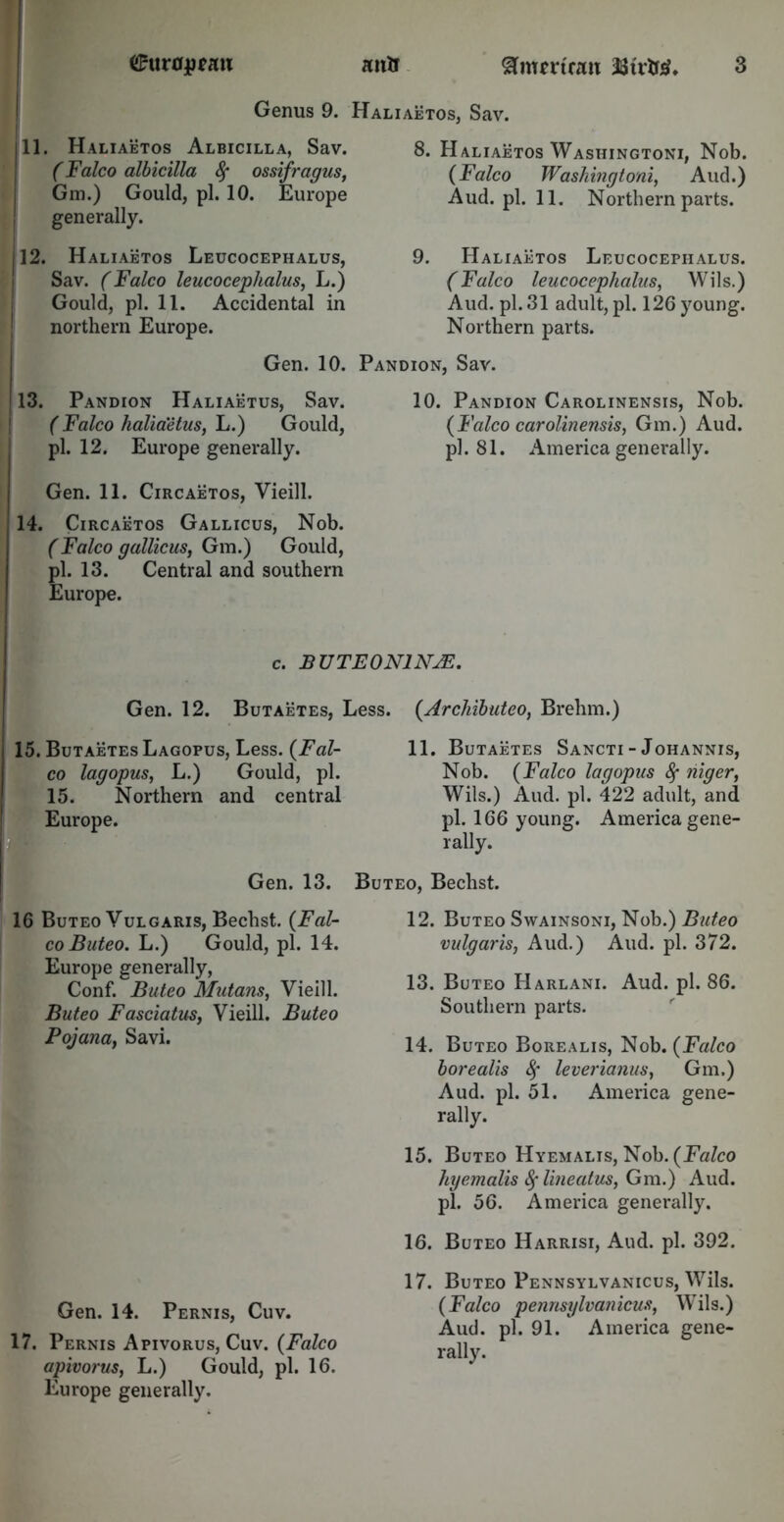 Genus 9. Haliaetos, Sav. 11. Haliaetos Albicilla, Sav. (Falco albicilla 8f ossifragus, Gm.) Gould, pi. 10. Europe generally. 12. Haliaetos Leucocephalus, Sav. (Falco leucocephalus, L.) Gould, pi. 11. Accidental in northern Europe. 8. Haliaetos Washingtoni, Nob. (Falco Washingtoni, Aud.) Aud. pi. 11. Northern parts. 9. Haliaetos Leucocephalus. (Falco leucocephalus, Wils.) Aud. pi. 31 adult, pi. 126 young. Northern parts. Gen. 10. Pandion, Sav. 13. Pandion Haliaetus, Sav. ( Falco haliaetus, L.) Gould, pi. 12. Europe generally. Gen. 11. Circaetos, Vieill. 14. Circaetos Gallicus, Nob. (Falco gallicus, Gm.) Gould, pi. 13. Central and southern Europe. 10. Pandion Carolinensis, Nob. (Falco carolinensis, Gm.) Aud. pi. 81. America generally. c. BUTEONINjF. Gen. 12. Butaetes, Less. 15. Butaetes Lagopus, Less. (Fal- co lag opus, L.) Gould, pi. 15. Northern and central Europe. Gen. 13. 16 Buteo Vulgaris, Bechst. (Fal- co Buteo. L.) Gould, pi. 14. Europe generally, Conf. Buteo Mutans, Vieill. Buteo Fasciatus, Vieill. Buteo Pojana, Savi. Gen. 14. Pernis, Cuv. 17. Pernis Apivorus, Cuv. (Falco apivorus, L.) Gould, pi. 16. Europe generally. (Arcliibutco, Brehm.) 11. Butaetes Sancti - Johannis, Nob. (Falco lagopus fy higer, Wils.) Aud. pi. 422 adult, and pi. 166 young. America gene- rally. Buteo, Bechst. 12. Buteo Swainsoni, Nob.) Buteo vulgaris, Aud.) Aud. pi. 372. 13. Buteo Harlani. Aud. pi. 86. Southern parts. 14. Buteo Borealis, Nob. (Falco borealis 8f leverianus, Gm.) Aud. pi. 51. America gene- rally. 15. Buteo Hyemalis, Nob. (Falco hyemalis 8f lineatus, Gm.) Aud. pi. 56. America generally. 16. Buteo Harrisi, Aud. pi. 392. 17. Buteo Pennsylvanicus, Wils. (Falco pennsylvanicus, Wils.) Aud. pi. 91. America gene- rally.
