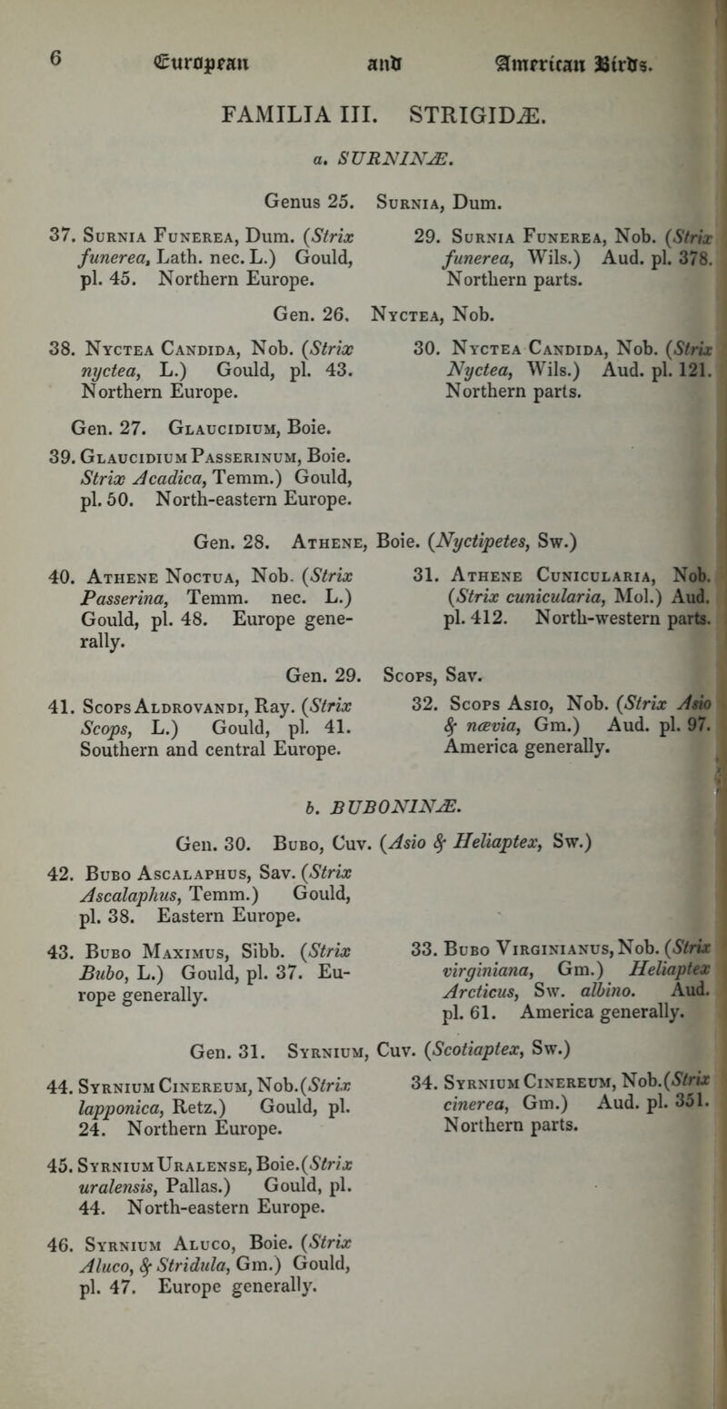 Cttropnm 8mmcan Stills. anU FAMILIA III. STRIGIDiE. a. SURNINjE. Genus 25. 37. Surnia Funerea, Dum. (Strix funerea, Lath. nec. L.) Gould, pi. 45. Northern Europe. Gen. 26. 38. Nyctea Candida, Nob. (Strix nyctea, L.) Gould, pi. 43. Northern Europe. Gen. 27. Glaucidium, Boie. 39. Glaucidium Passerinum, Boie. Strix Acadica, Temm.) Gould, pi. 50. North-eastern Europe. Surnia, Dum. 29. Surnia Funerea, Nob. (Strix funerea, Wils.) Aud. pi. 378. Northern parts. Nyctea, Nob. 30. Nyctea Candida, Nob. (Strix Nyctea, Wils.) Aud. pi. 121. Northern parts. Gen. 28. Athene, 40. Athene Noctua, Nob. (Strix Passerina, Temm. nec. L.) Gould, pi. 48. Europe gene- rally. Gen. 29. 41. Scops Aldrovandi, Ray. {Strix Scops, L.) Gould, pi. 41. Southern and central Europe. Boie. (Nyctipetes, Sw.) 31. Athene Cunicularia, Nob. (aStrix cunicularia, Mol.) Aud. pi. 412. North-western parts. Scops, Sav. 32. Scops Asio, Nob. (Strix Asio 8f ncevia, Gm.) Aud. pi. 97. America generally. b. BTJBONINAE. Gen. 30. Bubo, Cuv. {Asio fy Heliaptex, Sw.) 42. Bubo Ascalaphus, Sav. {Strix Ascalaphus, Temm.) Gould, pi. 38. Eastern Europe. 43. Bubo Maximus, Sibb. {Strix 33. Bubo Virginianus, Nob. {Strix Bubo, L.) Gould, pi. 37. Eu- viryiniana, Gm.) Heliaptex rope generally. Arcticus, Sw. albino. Aud. pi. 61. America generally. Gen. 31. Syrnium, Cuv. {Scotiaptex, Sw.) 44. Syrnium Cinereum, Nob.{Strix 34. Syrnium Cinereum, Nob.(*S7nx lapponica, Retz.) Gould, pi. cinerea, Gm.) Aud. pi. 351. 24. Northern Europe. Northern parts. 45. SyrniumUralense, Boie.(S7n\r uralensis, Pallas.) Gould, pi. 44. North-eastern Europe. 46. Syrnium Aluco, Boie. {Strix Aluco, fy Stridida, Gm.) Gould, pi. 47. Europe generally.