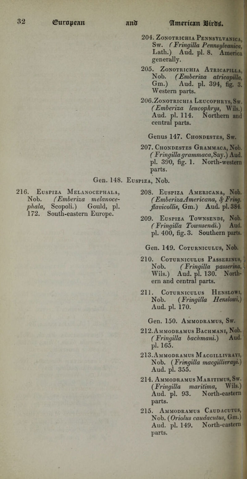 Gen. 148. 216. Euspiza Melanocephala, Nob. (Emberiza melanoce- phala, Scopoli.) Gould, pi. 172. South-eastern Europe. 204. Zonotrichia Pennsylvania, Sw. ( Fringilla Pennsylvania, Lath.) Aud. pi. 8. America generally. 205. Zonotrichia Atricapilla. Nob. (Emberiza atricapilla, Gm.) Aud. pi. 394, fig. 3. Western parts. 206. Zonotrichia Leucophrys,Sw. (Emberiza leucophrys, Wils.) 1 Aud. pi. 114. Northern and central parts. Genus 147. Chondestes, Sw. 207. Chondestes Grammaca, Nob. ( Fringilla grammaca, Say.) Aud. pi. 390, fig. 1. North-western parts. Euspiza, Nob. 208. Euspiza Americana, Nob. ( Emberiza Americana, 8f Fring. flavicollis, Gm.) Aud. pi. 384. 209. Euspiza Townsendi, Nob. (Fringilla Townsendi.) Aud. pi. 400, fig. 3. Southern parts. Gen. 149. Coturniculus, Nob. 210. Coturniculus Passerinus, > Nob. (Fringilla passerina, , Wils.) Aud. pi. 130. North- ern and central parts. 211. Coturniculus Henslowi, Nob. (Fringilla Henslowi,) Aud. pi. 170. Gen. 150. Ammodramus, Sw. 212. Ammodramus Bachmani, Nob. (Fringilla bachmani.) Aud. pi. 165. 213. Ammodramus Macgillivrayi, Nob. (Fringilla macgillivrayi.) Aud. pi. 355. 214. Ammodramus Maritimus, Sw. (Fringilla maritima, Wils.) Aud. pi. 93. North-eastern parts. 215. Ammodramus Caudacutus, Nob. (Oriolus caudacutus, Gm.) Aud. pi. 149. North-eastern i parts.