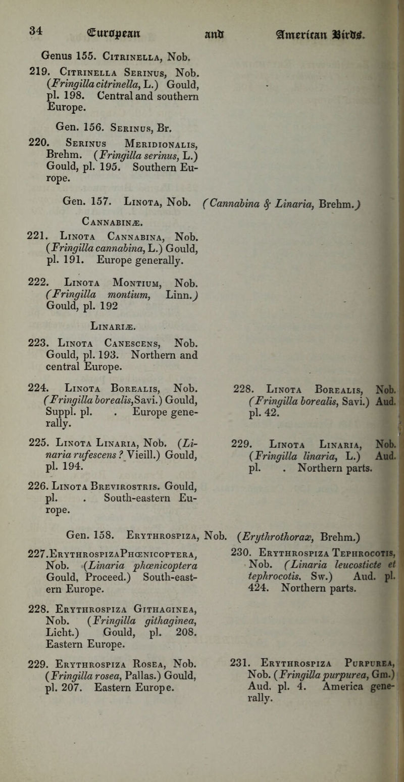 Genus 155. Citrinella, Nob. 219. Citrinella Serinus, Nob. (Fringilla citrinella, L.) Gould, pi. 198. Central and southern Europe. Gen. 156. Serinus, Br. 220. Serinus Meridionalis, Brehm. {Fringilla serinus, L.) Gould, pi. 195. Southern Eu- rope. Gen. 157. Linota, Nob. Cannabin.e. 221. Linota Cannabina, Nob. {Fringilla cannabina, L.) Gould, pi. 191. Europe generally. 222. Linota Montium, Nob. (Fringilla montium, Linn.J Gould, pi. 192 Linarle. 223. Linota Canescens, Nob. Gould, pi. 193. Northern and central Europe. 224. Linota Borealis, Nob. (Fringilla borealis,Savi.) Gould, Suppl. pi. . Europe gene- rally. 225. Linota Linaria, Nob. {Li- nar ia rufescens ? Vieill.) Gould, pi. 194. 226. Linota Brevirostris. Gould, pi. . South-eastern Eu- rope. Gen. 158. Erythrospiza, 227. ErythrospizaPhcenicoptera, Nob. {Linaria phoenicoptera Gould, Proceed.) South-east- ern Europe. 228. Erythrospiza Githaginea, Nob. {Fringilla githaginea, Licht.) Gould, pi. 208. Eastern Europe. 229. Erythrospiza Rosea, Nob. {Fringilla rosea, Pallas.) Gould, pi. 207. Eastern Europe. (Cannabina fy Linaria, Brehm.,) 228. Linota Borealis, Nob. (Fringilla borealis, Savi.) Aud. pi. 42. 229. Linota Linaria, Nob. {Fringilla linaria, L.) Aud. pi. . Northern parts. >. {Ergthrothorax, Brehm.) 230. Erythrospiza Tephrocotis, Nob. (Linaria leucosticte et tephrocotis, S\v.) Aud. pi. 424. Northern parts. 231. Erythrospiza Purpurea, Nob. {Fringillapurpurea, Gm.) Aud, pi. 4. America gene- rally.