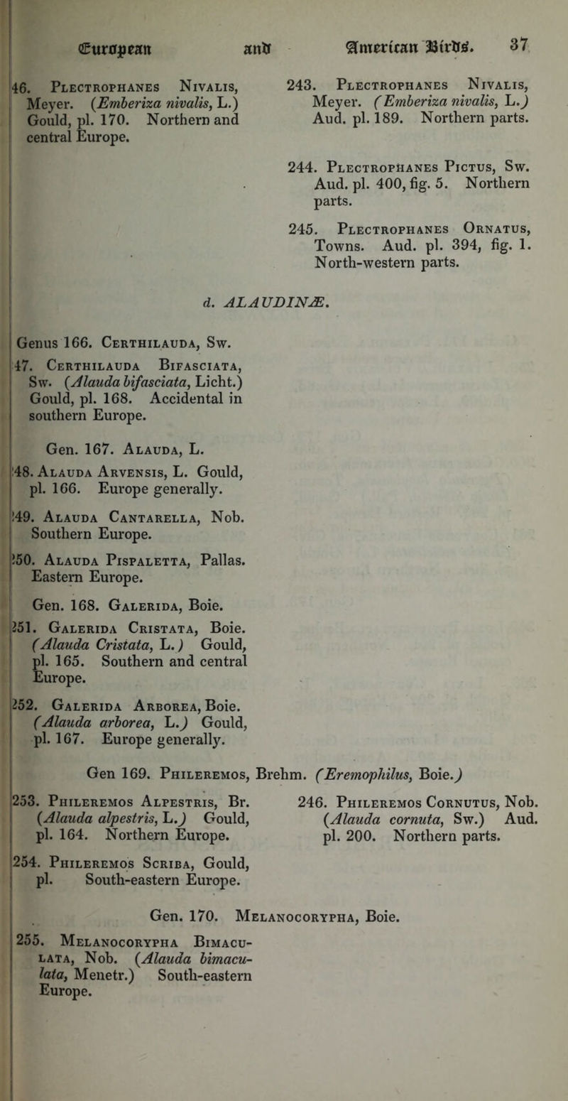 46. Plectrophanes Nivalis, Meyer. (Emberiza nivalis, L.) Gould, pi. 170. Northern and central Europe. 243. Plectrophanes Nivalis, Meyer. (Emberiza nivalis, L.) Aud. pi. 189. Northern parts. 244. Plectrophanes Pictus, Sw. Aud. pi. 400, fig. 5. Northern parts. 245. Plectrophanes Ornatus, Towns. Aud. pi. 394, fig. 1. North-western parts. d. ALA UDINJE. Genus 166. Certhilauda, Sw. 47. Certhilauda Bifasciata, Sw. (Alauda bifasciata, Licht.) Gould, pi. 168. Accidental in southern Europe. Gen. 167. Alauda, L. j:48. Alauda Arvensis, L. Gould, pi. 166. Europe generally. !49. Alauda Cantarella, Nob. Southern Europe. 550. Alauda Pispaletta, Pallas. Eastern Europe. Gen. 168. Galerida, Boie. 251. Galerida Cristata, Boie. (Alauda Cristata, L.) Gould, pi. 165. Southern and central Europe. 252. Galerida Arborea, Boie. (Alauda arborea, L.) Gould, pi. 167. Europe generally. Gen 169. Phileremos, Brehm. ( Eremophilus, Boie.,) 253. Phileremos Alpestris, Br. {Alauda alpestris, L.J Gould, pi. 164. Northern Europe. 254. Phileremos Scriba, Gould, pi. South-eastern Europe. 246. Phileremos Cornutus, Nob. {Alauda cornuta, Sw.) Aud. pi. 200. Northern parts. Gen. 170. Melanocorypha, Boie. 255. Melanocorypha Bimacu- lata, Nob. {Alauda bimacu- lata, Menetr.) South-eastern Europe.