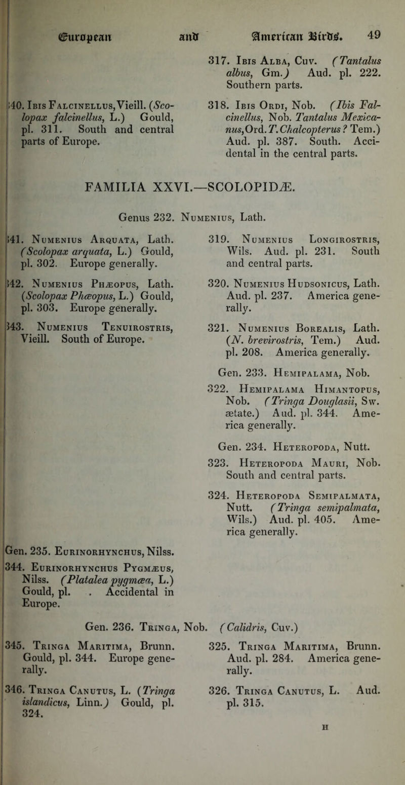 140. Ibis FALciNELLUs,Vieill. (Sco- lopax falcinellus, L.) Gould, pi. 311. South and central parts of Europe. 317. Ibis Alba, Cuv. (Tantalus albus, GmJ Aud. pi. 222. Southern parts. 318. Ibis Ordi, Nob. (Ibis Fal- cinellus, Nob. Tantalus Mexica- wMs,Ord. T.Chalcopterus ? Tem.) Aud. pi. 387. South. Acci- dental in the central parts. FAMILIA XXVI.—SCOLOPID^. Genus 232. Numenius, Lath. >41. Numenius Arquata, Lath. (Scolopax arquata, L.) Gould, pi. 302. Europe generally. 142. Numenius Ph^eopus, Lath. (Scolopax Phceopus, L.) Gould, pi. 303. Europe generally. 143. Numenius Tenuirostris, Vieill. South of Europe. |Gen. 235. EuRiNORHYNCHus,Nilss. [344. Eurinorhynchus Pygm^us, Nilss. (Platalea pygmcea, L.) Gould, pi. . Accidental in Europe. 319. Numenius Longirostris, Wils. Aud. pi. 231. South and central parts. 320. Numenius Hudsonicus, Lath. Aud. pi. 237. America gene- rally. 321. Numenius Borealis, Lath. (N. brevirostris, Tem.) Aud. pi. 208. America generally. Gen. 233. Hemipalama, Nob. 322. Hemipalama Himantopus, Nob. (Tringa Douglasii, Sw. aetate.) Aud. pi. 344. Ame- rica generally. Gen. 234. Heteropoda, Nutt. 323. Heteropoda Mauri, Nob. South and central parts. 324. Heteropoda Semipalmata, Nutt. (Tringa semipalmata, Wils.) Aud. pi. 405. Ame- rica generally. Gen. 236. Tringa, Nob. 345. Tringa Maritima, Brunn. Gould, pi. 344. Europe gene- rally. 346. Tringa Canutus, L. (Tringa islandicus, Linn.) Gould, pi. 324. (Calidris, Cuv.) 325. Tringa Maritima, Brunn. Aud. pi. 284. America gene- rally. 326. Tringa Canutus, L. Aud. pi. 315. H