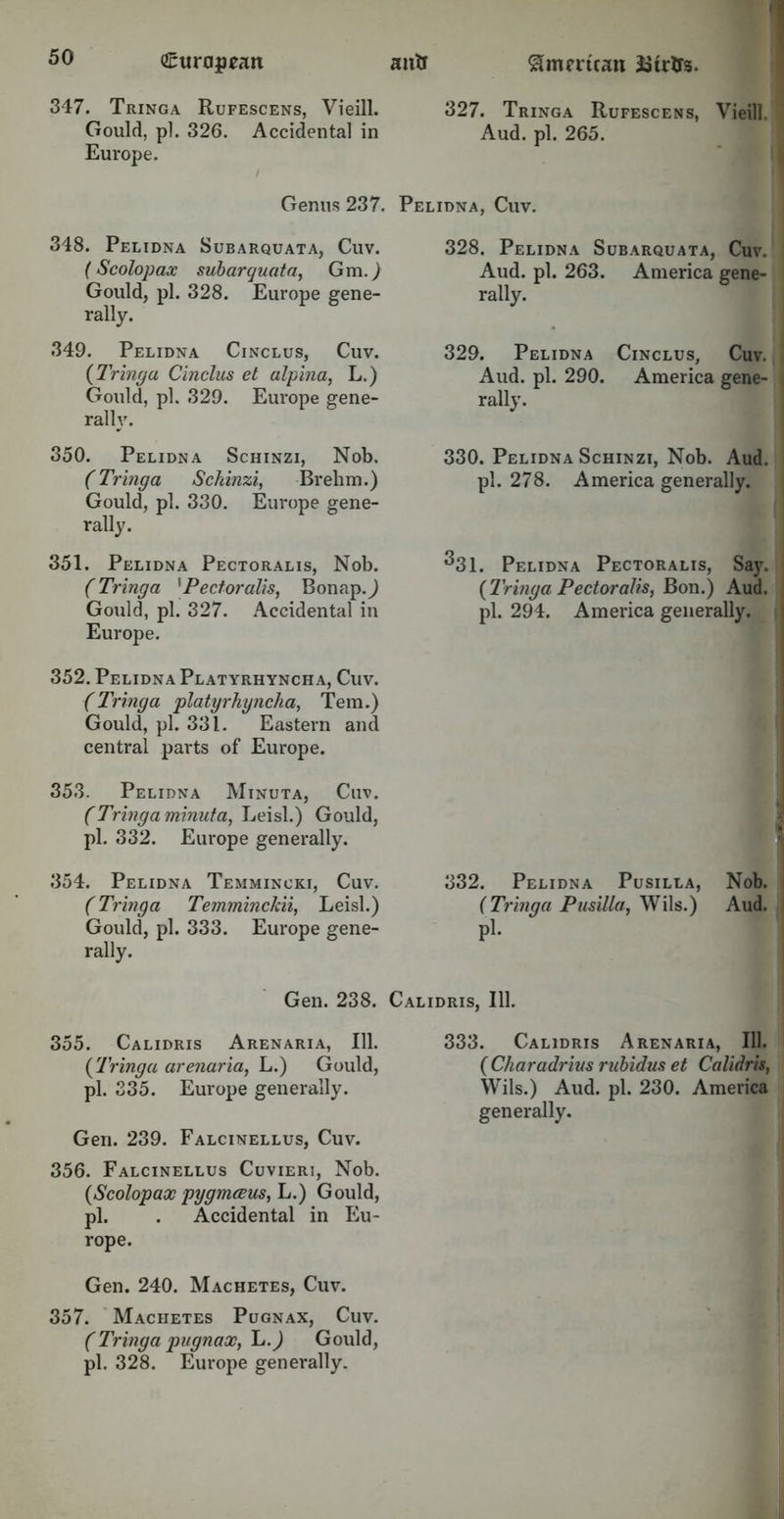347. Tringa Rufescens, Vieill. Gould, pi. 326. Accidental in Europe. Genus 237. 348. Pelidna Subarquata, Cuv. (Scolopax subarquata, Gm.j Gould, pi. 328. Europe gene- rally. 349. Pelidna Cinclus, Cuv. (Tringa Cinclus et alpina, L.) Gould, pi. 329. Europe gene- rally. 350. Pelidna Schinzi, Nob. (Tringa Schinzi, Brehm.) Gould, pi. 330. Europe gene- rally. 351. Pelidna Pectoralis, Nob. ( Tringa *Pectoralis, Bonap.^) Gould, pi. 327. Accidental in Europe. 352. Pelidna Platyrhyncha, Cuv. (Tringa platyrhyncha, Tern.) Gould, pi. 331. Eastern and central parts of Europe. 353. Pelidna Minuta, Cuv. (Tringa minuta, Leisl.) Gould, pi. 332. Europe generally. 354. Pelidna Temmincki, Cuv. (Tringa Temminckii, Leisl.) Gould, pi. 333. Europe gene- rally. Gen. 238. 355. Calidris Arenaria, 111. (Tringa arenaria, L.) Gould, pi. 335. Europe generally. Gen. 239. Falcinellus, Cuv. 356. Falcinellus Cuvieri, Nob. (Scolopax pygmeeus, L.) Gould, pi. . Accidental in Eu- rope. Gen. 240. Machetes, Cuv. 357. Machetes Pugnax, Cuv. (Tringa pugnax, L.J Gould, pi. 328. Europe generally. 327. Tringa Rufescens, Vieill. Aud. pi. 265. Pelidna, Cuv. 328. Pelidna Subarquata, Cuv. Aud. pi. 263. America gene- rally. 329. Pelidna Cinclus, Cuv. Aud. pi. 290. America gene- rally. 330. Pelidna Schinzi, Nob. Aud. pi. 278. America generally. ^31. Pelidna Pectoralis, Say. (Tringa Pectoralis, Bon.) Aud. pi. 294. America generally. 332. Pelidna Pusilla, Nob. (Tringa Pusilla, Wils.) Aud. P1- Calidris, 111. 333. Calidris Arenaria, 111. ( Charadrius rubidus et Calidris, Wils.) Aud. pi. 230. America generally.